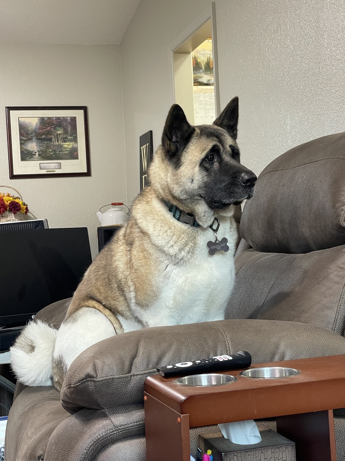 Two Sisters Scoop Pet Waste Removal - Photo 2