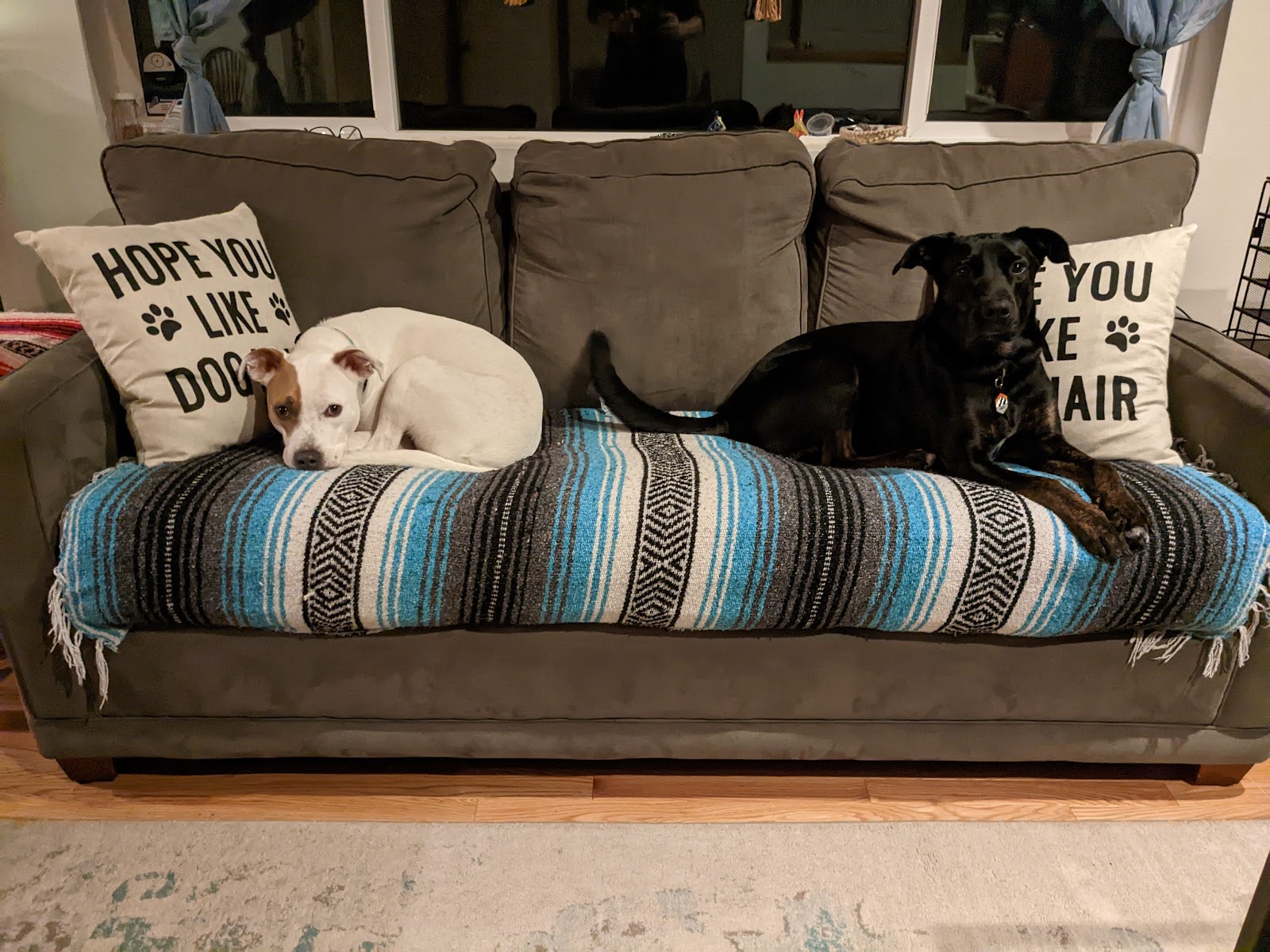 Two Sisters Scoop Pet Waste Removal - Photo 3