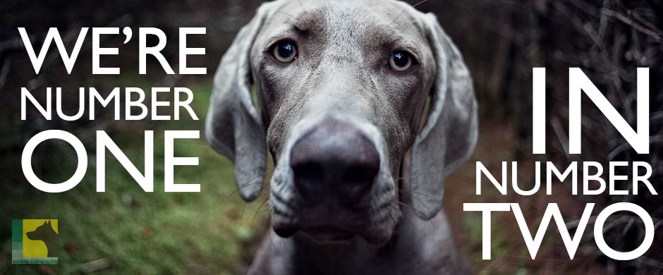 Yardsweepers - Pet Waste Services