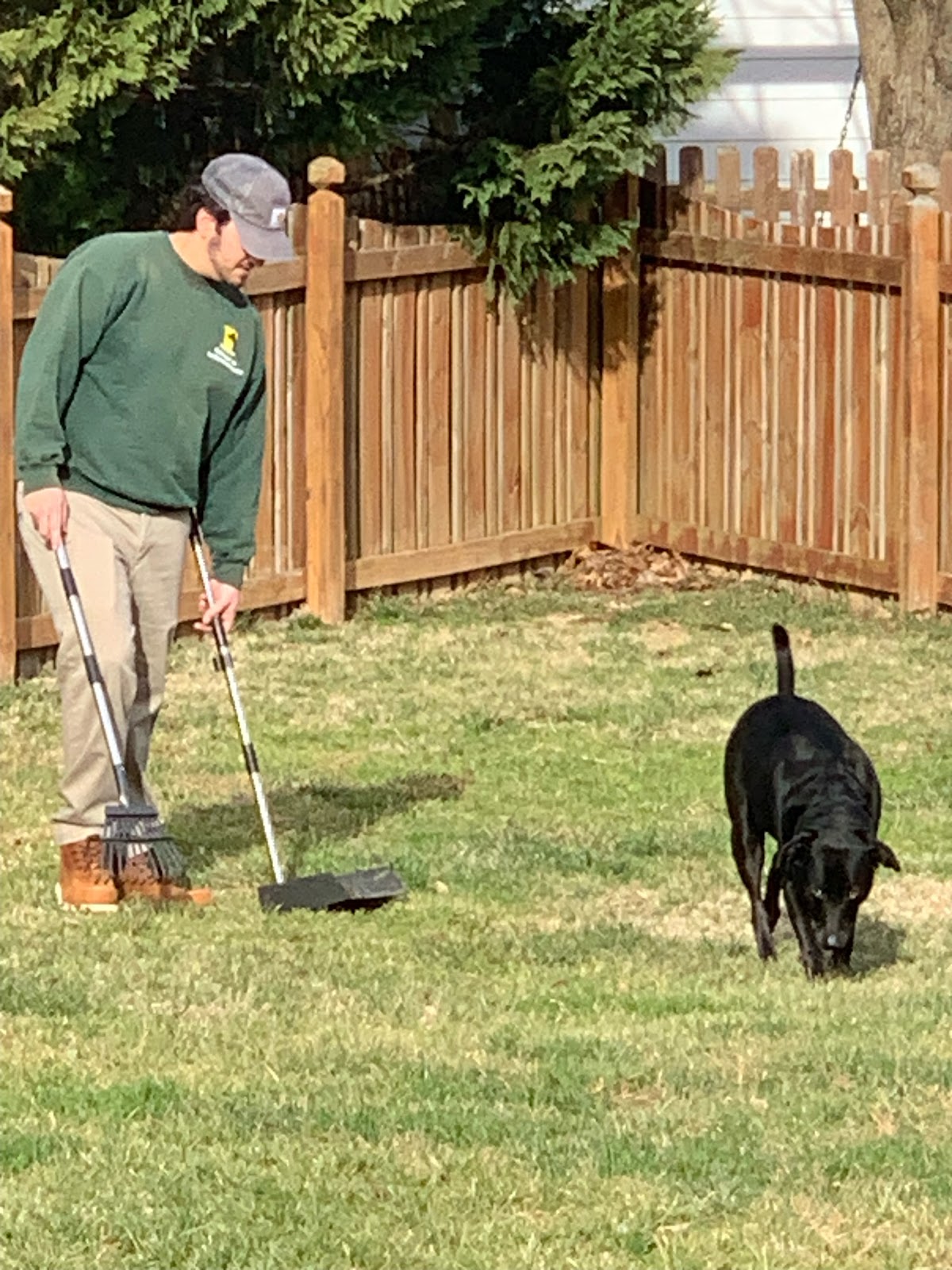 Yardsweepers - Pet Waste Services - Photo 2