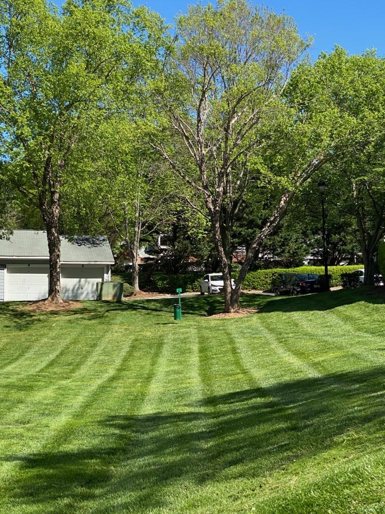 Yardsweepers - Pet Waste Services - Photo 3