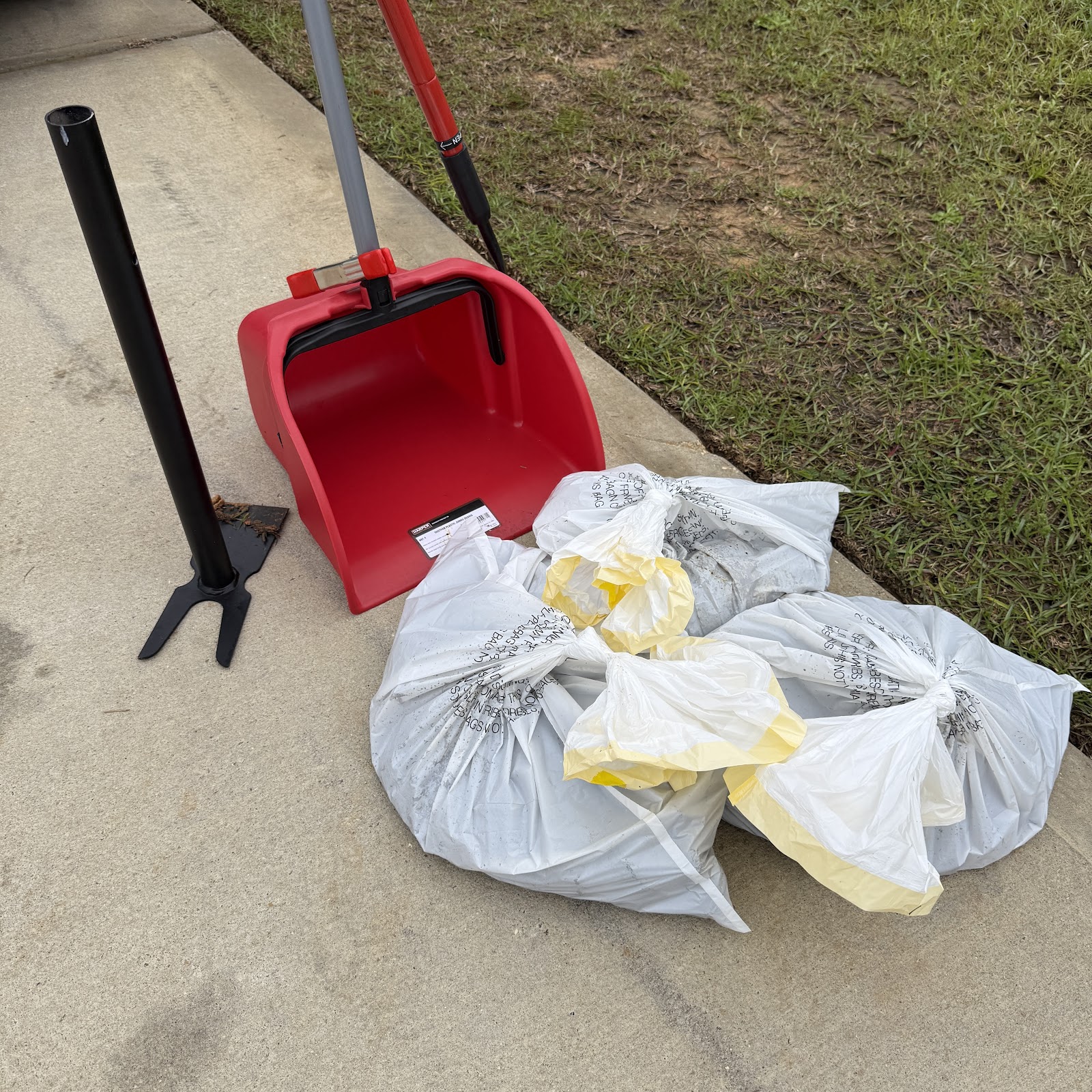 All-Star Scoopers - Photo 2