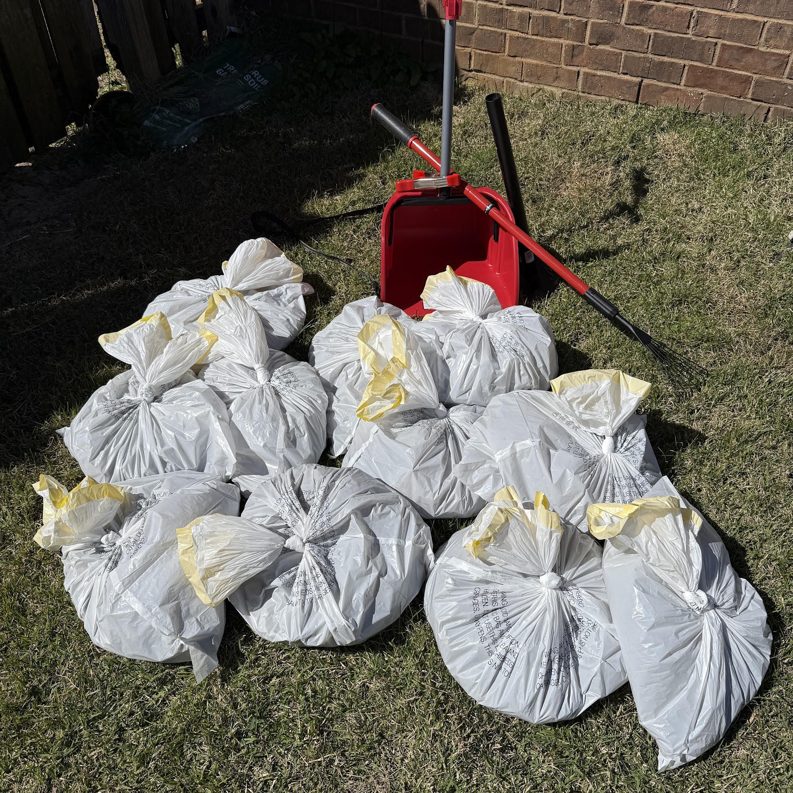 All-Star Scoopers - Photo 3