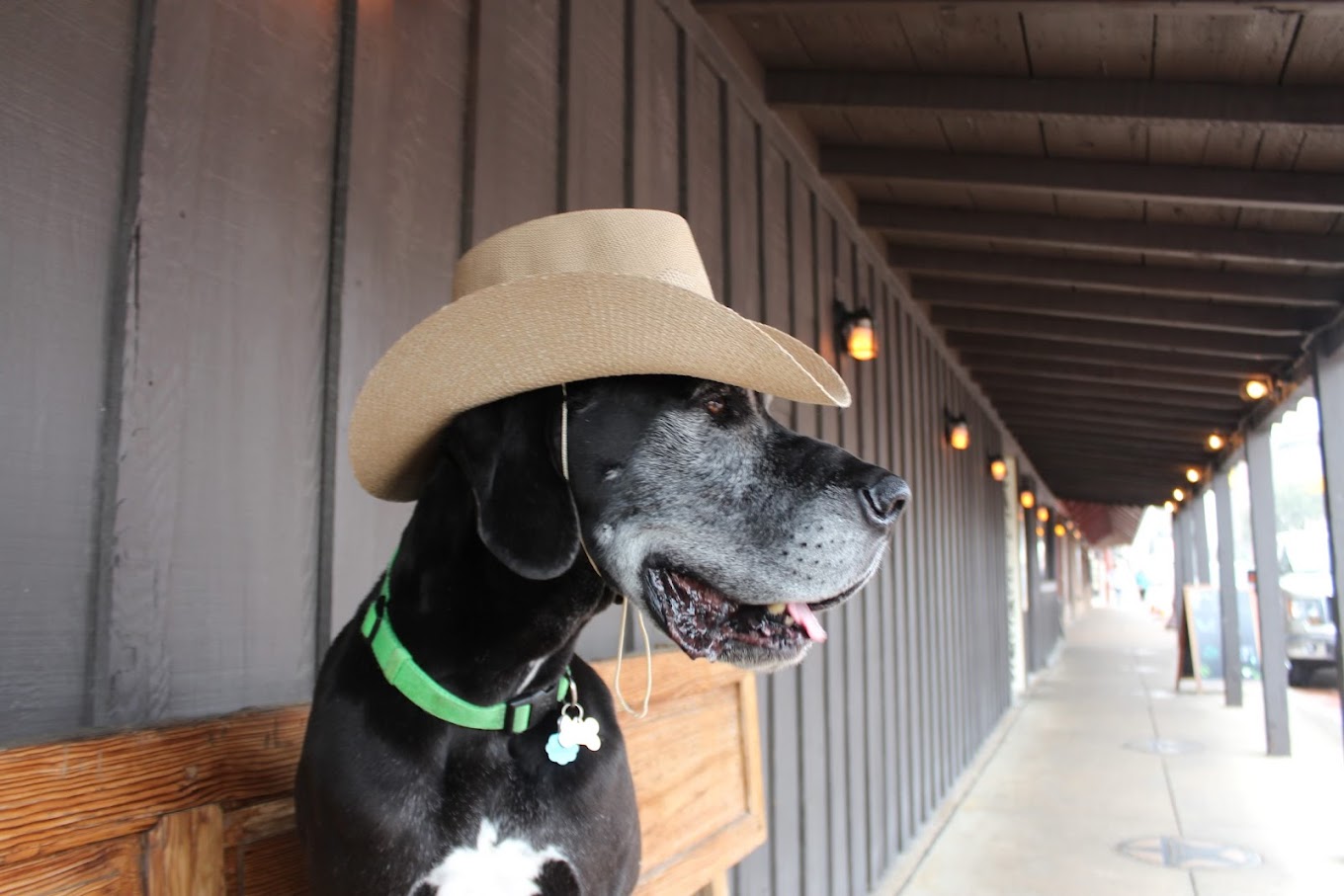 POOP 911 Weatherford - Photo 4