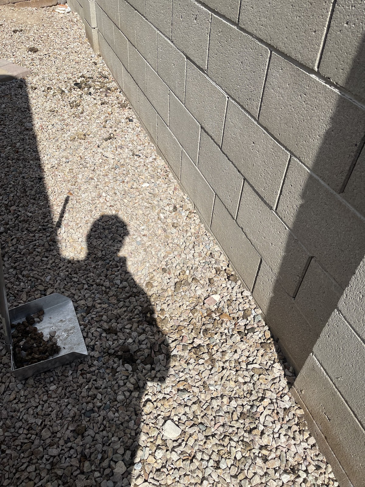 Caca Scoopers - Photo 4