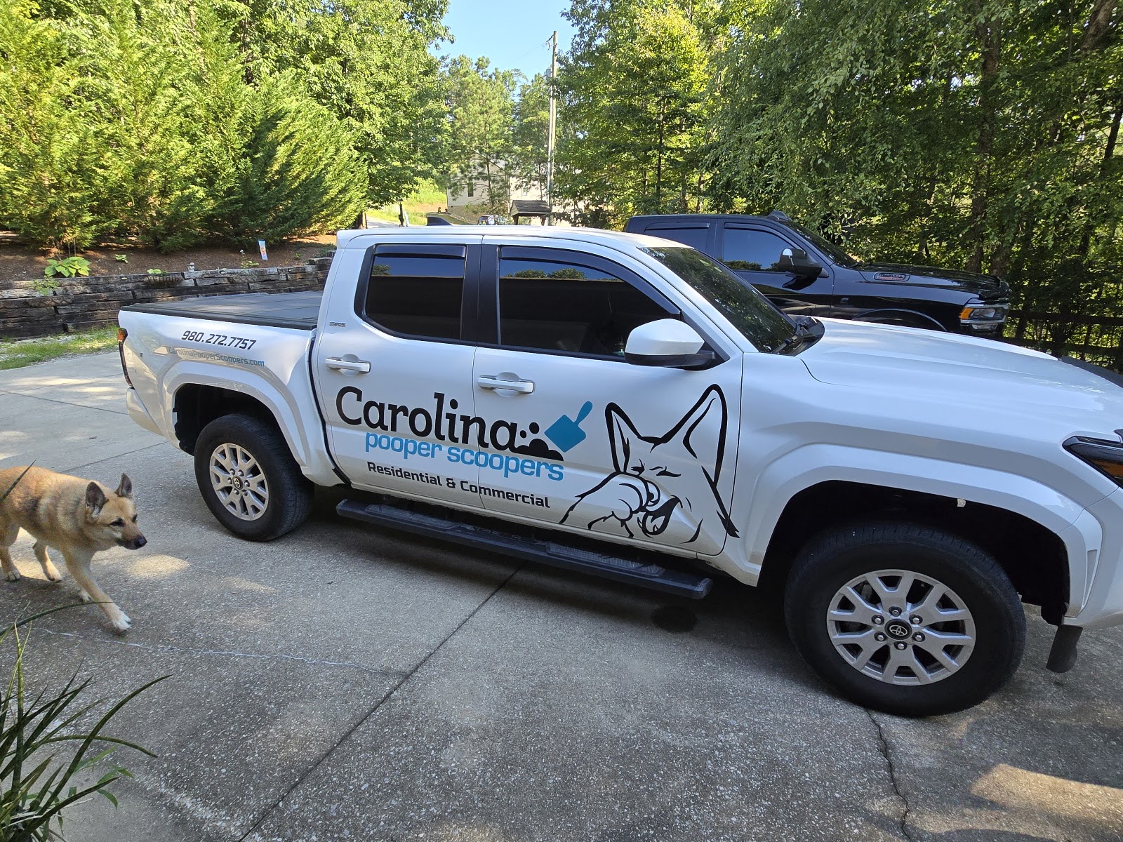 Carolina Pooper Scoopers - Charlotte - Photo 2