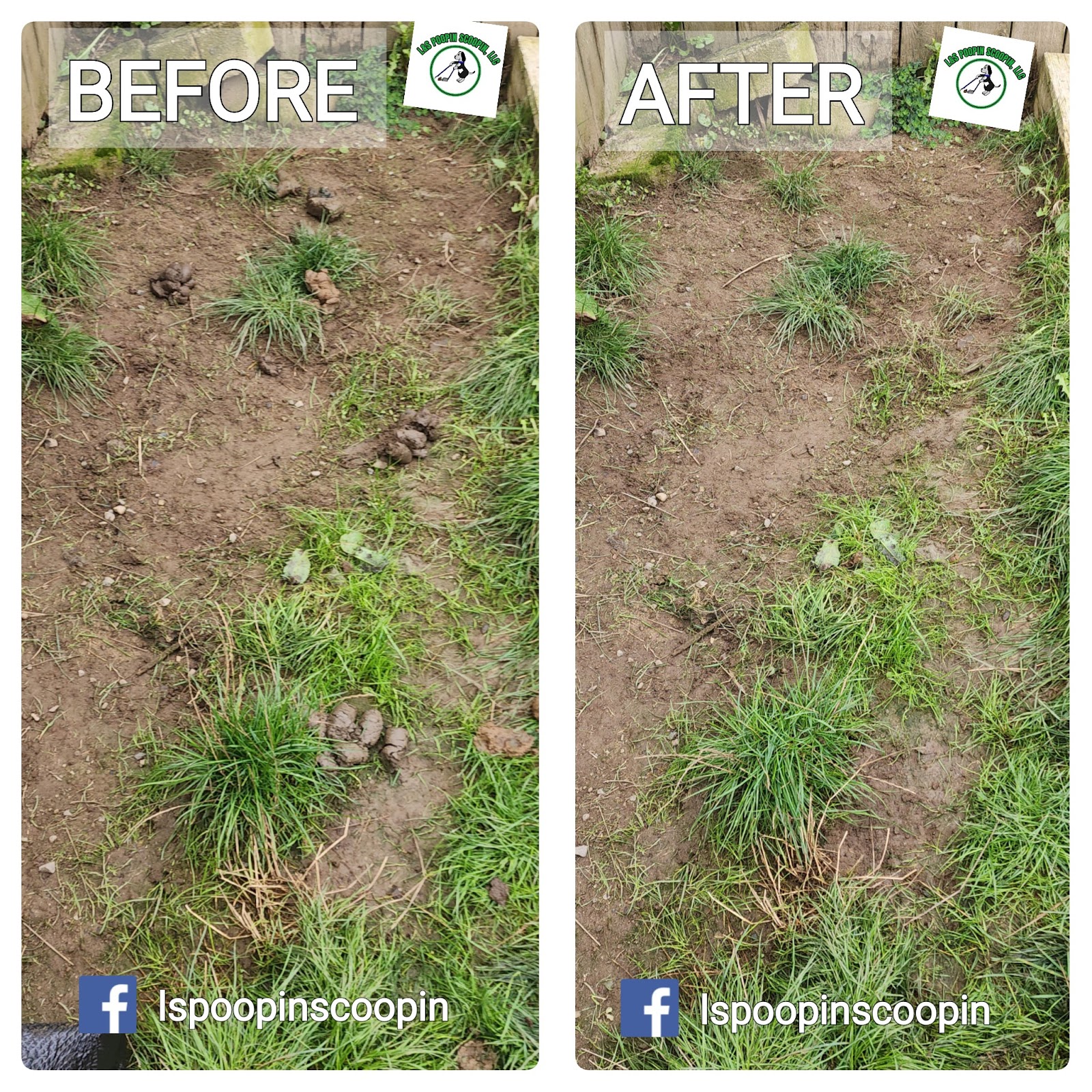 L&S Poopin Scoopin, LLC - Photo 3