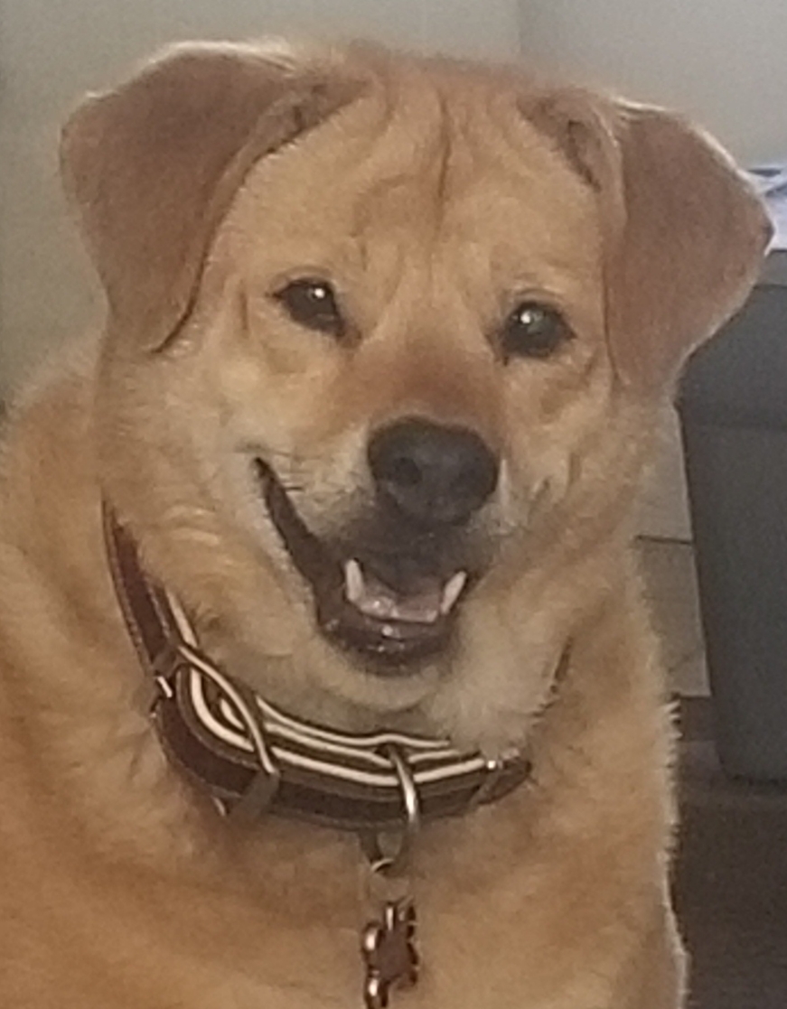 Dog Day Sunrise LLC - Photo 2