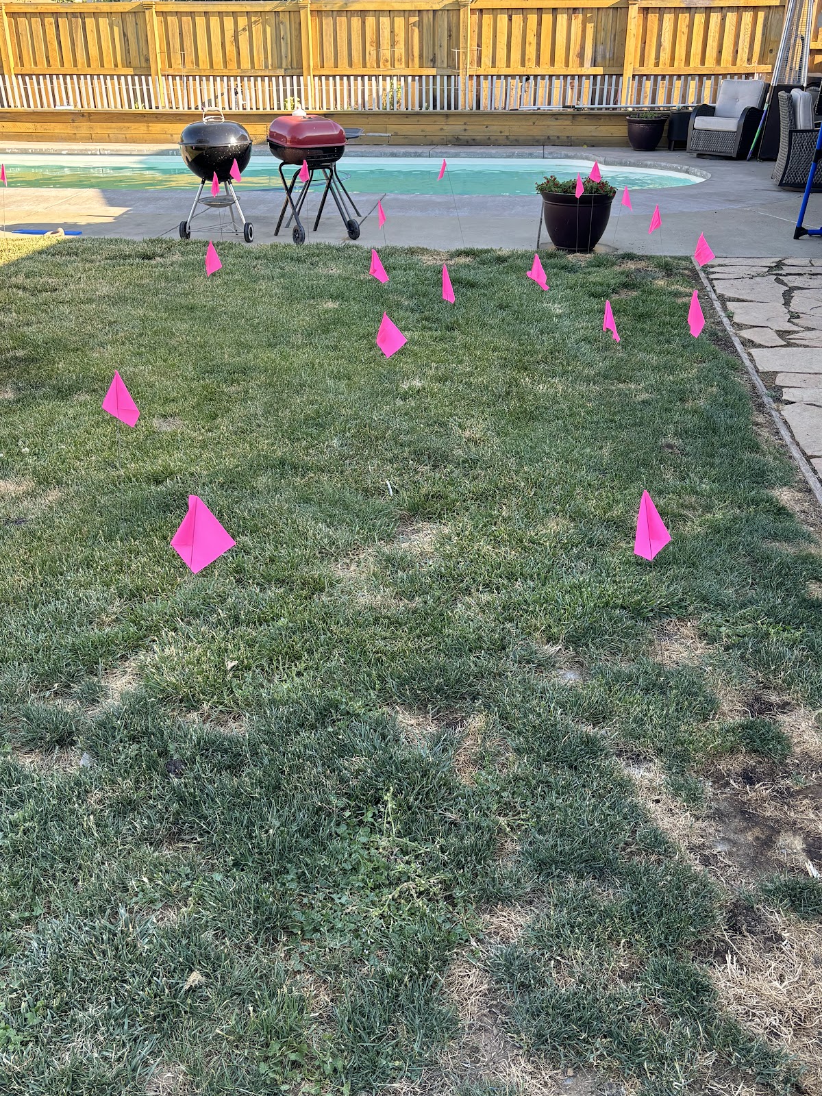 The Poop Fairy Scooping Service, LLC