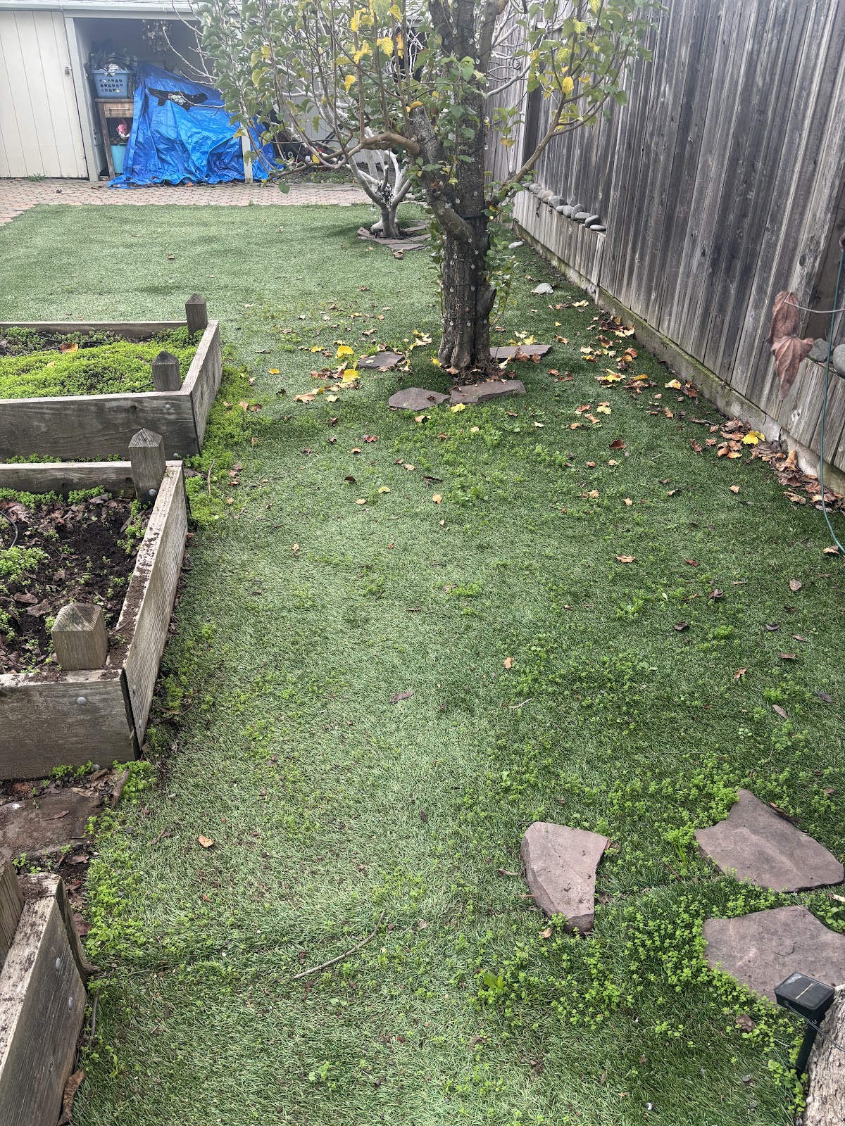 The Poop Fairy Scooping Service, LLC - Photo 2