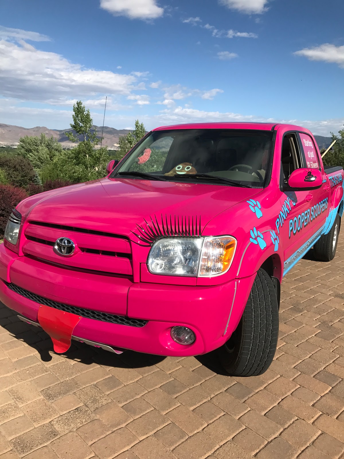 Pinky's Pooper Scoopers