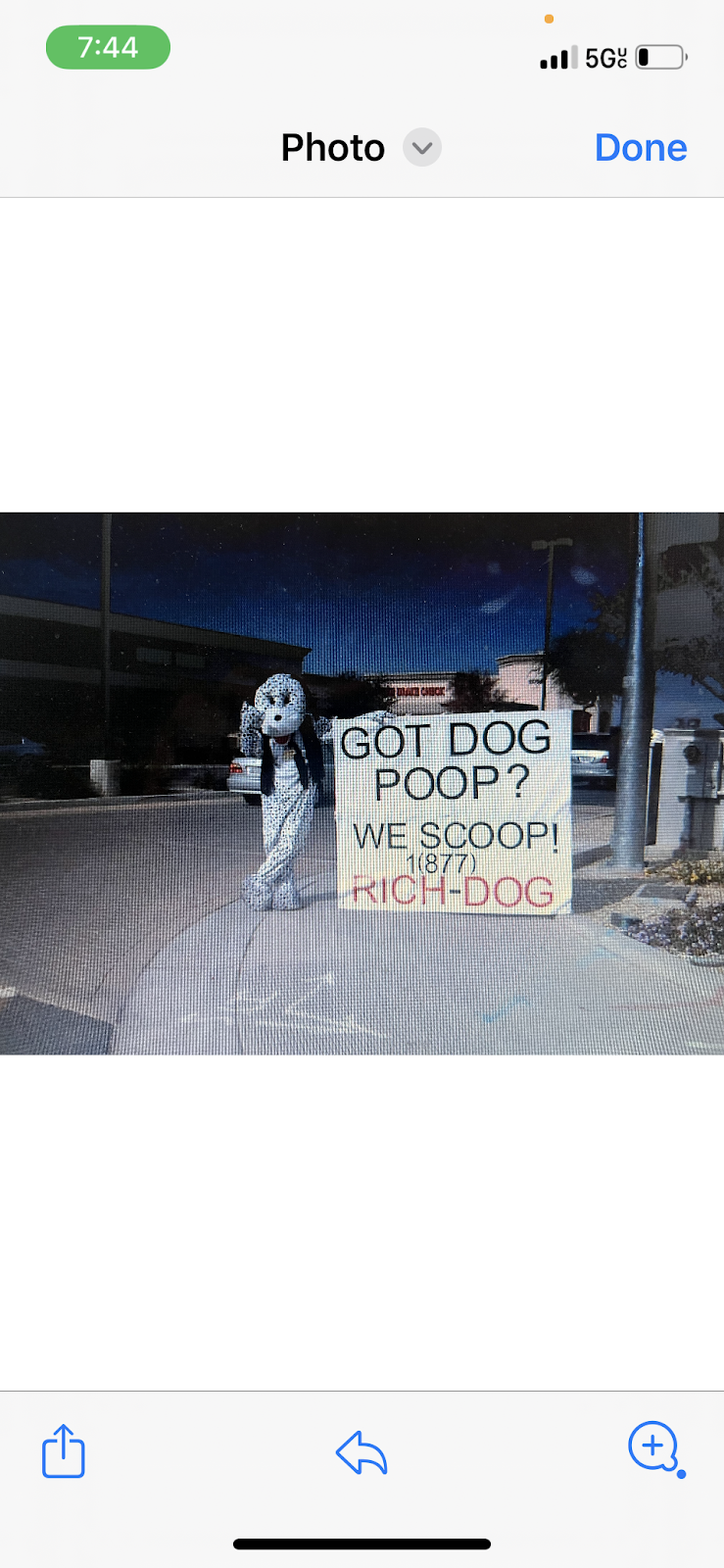 Rich Dog dog poop cleanup service - Photo 2