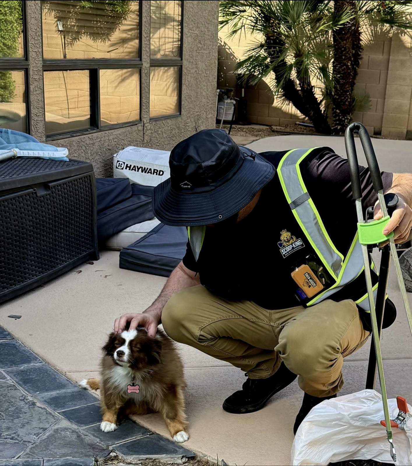 Scoop King - Photo 3