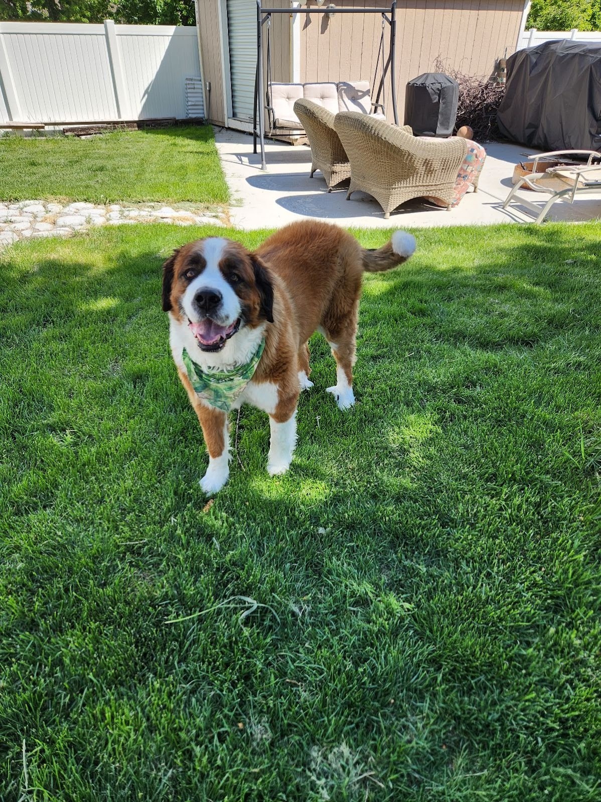 Scoop Soldiers - Denver - Photo 3