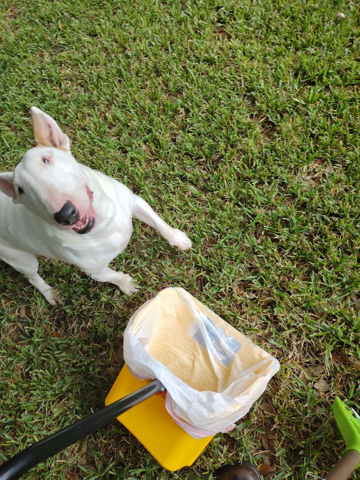 Scoop Soldiers - Denver - Photo 4