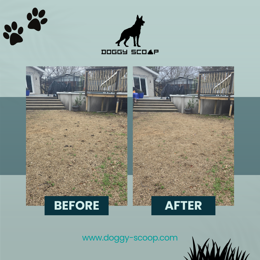 Doggy Scoop LLC - Photo 4