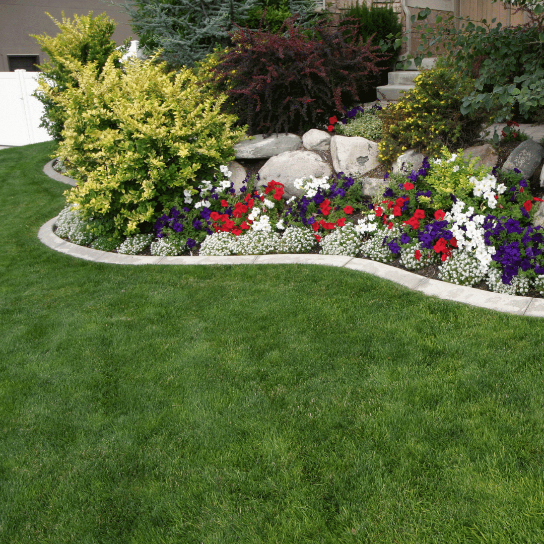 Doody Free Dog Waste Removal Services - Photo 4