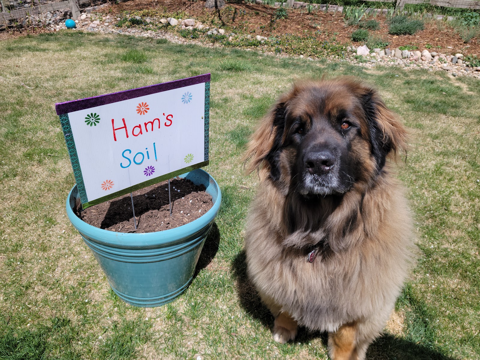 Super Pooper Recouper