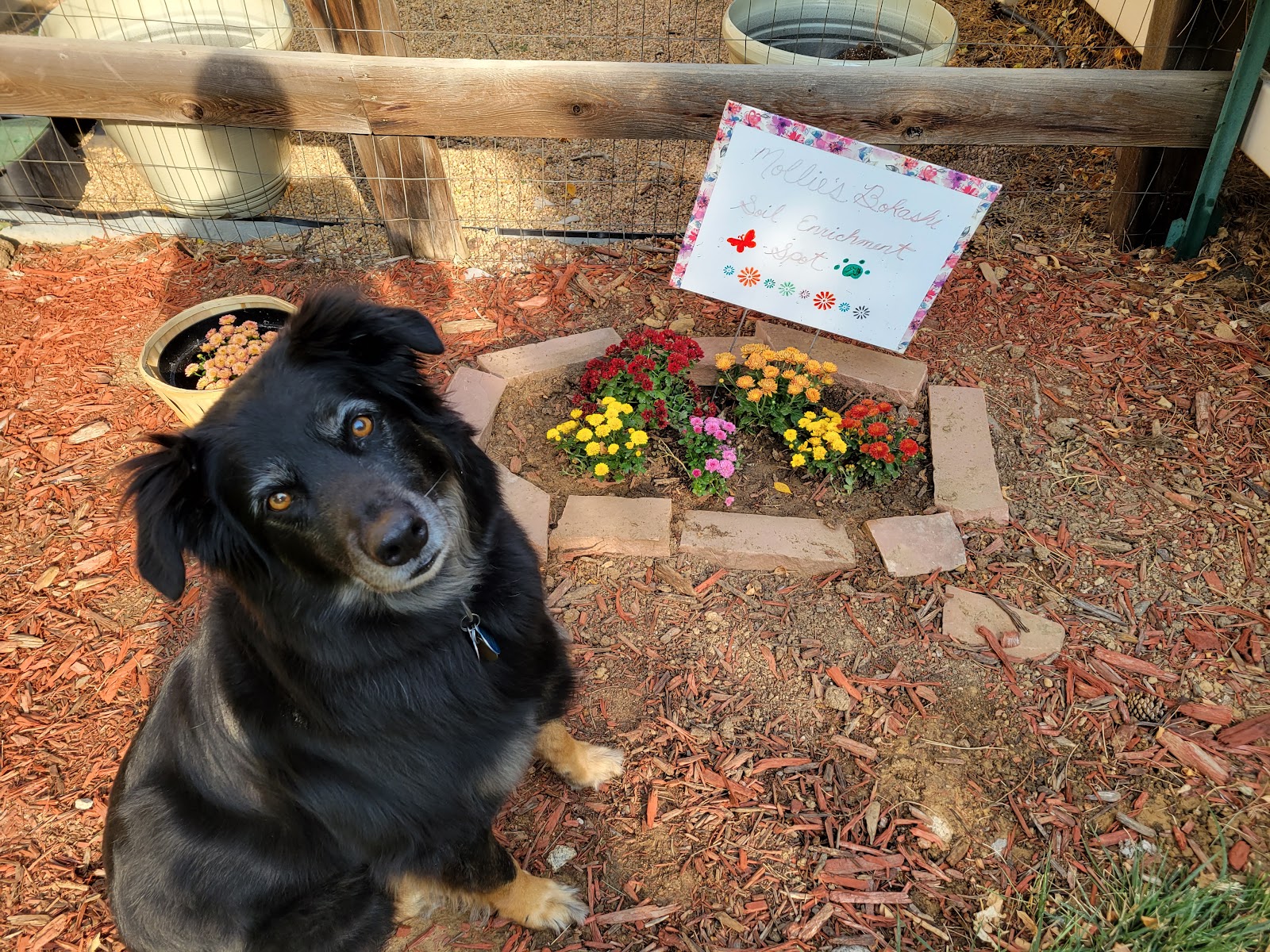 Super Pooper Recouper - Photo 2