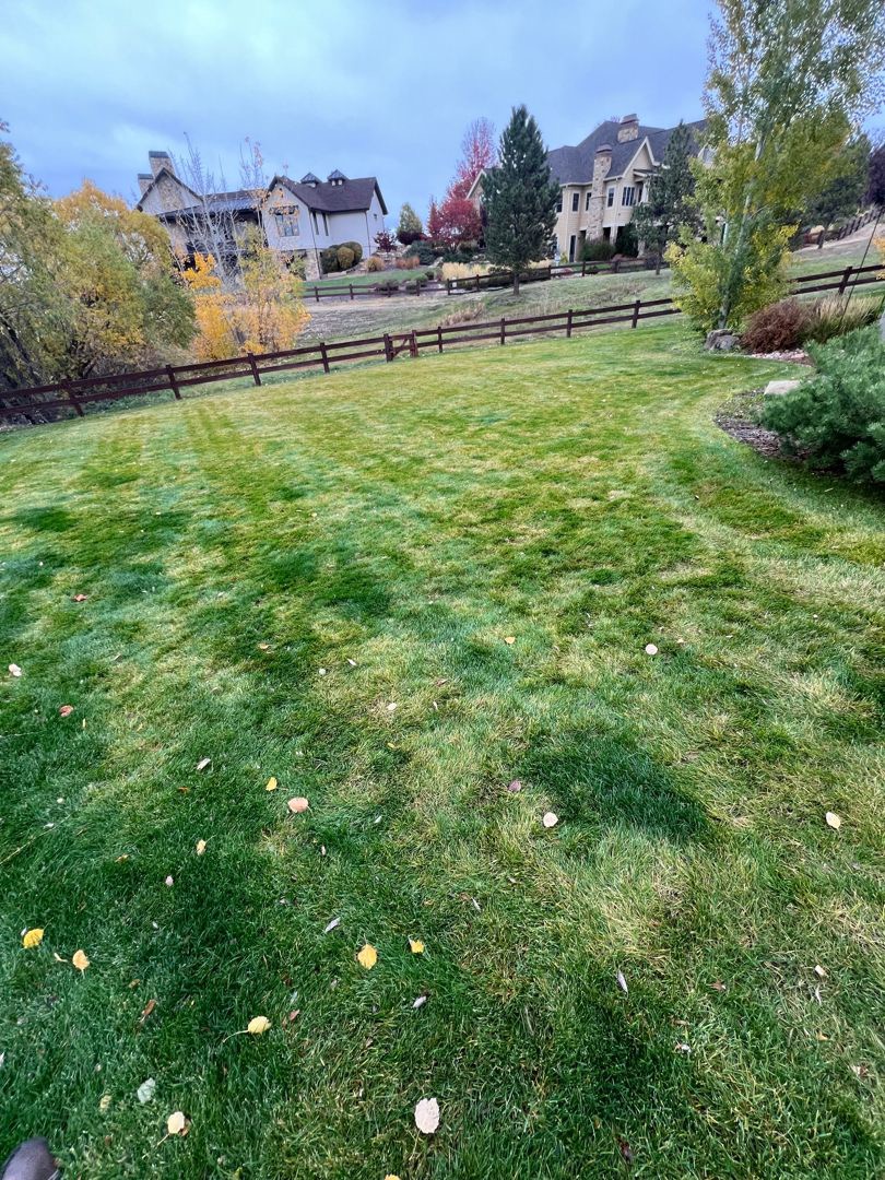 Blue's Poos Pooper Scooper Service - Photo 2