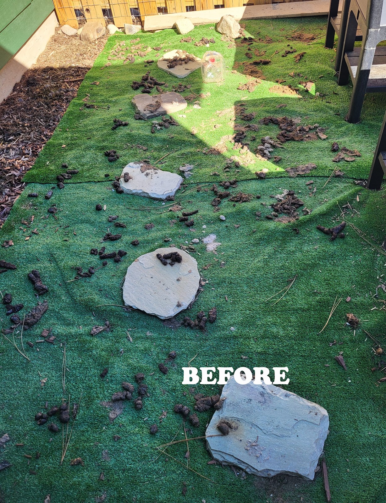 Scooper Troopers Idaho