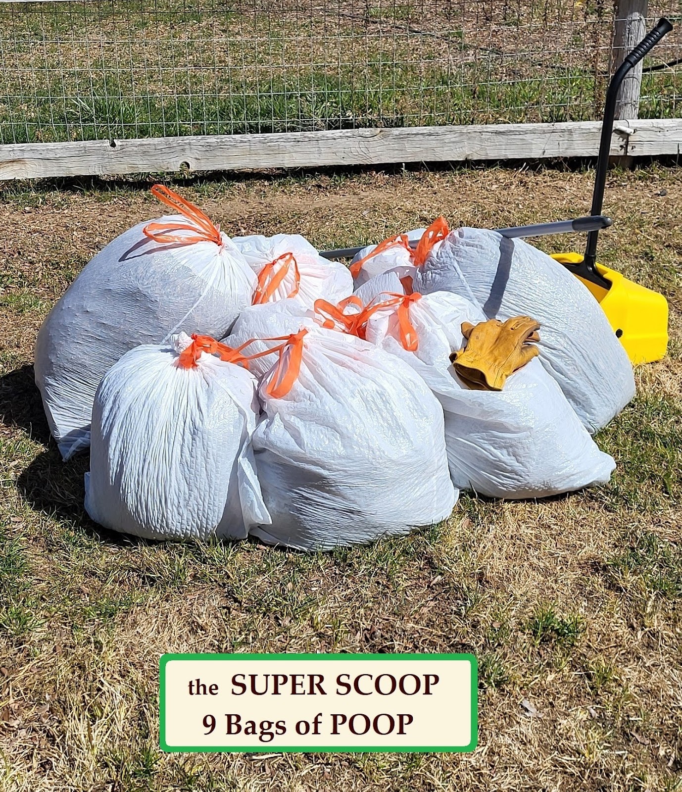 Scooper Troopers Idaho - Photo 2