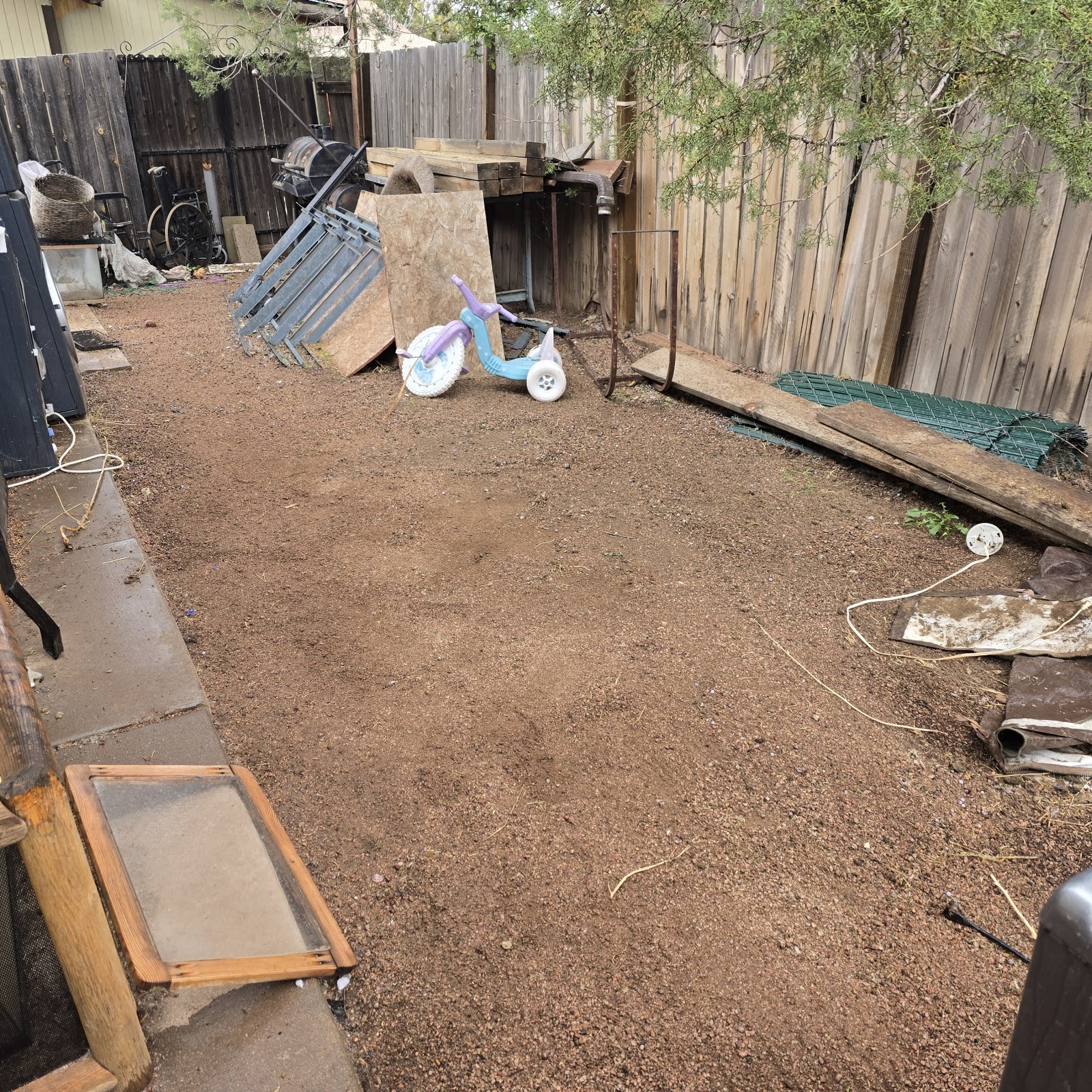 Scoopy Doo Squad - Photo 2