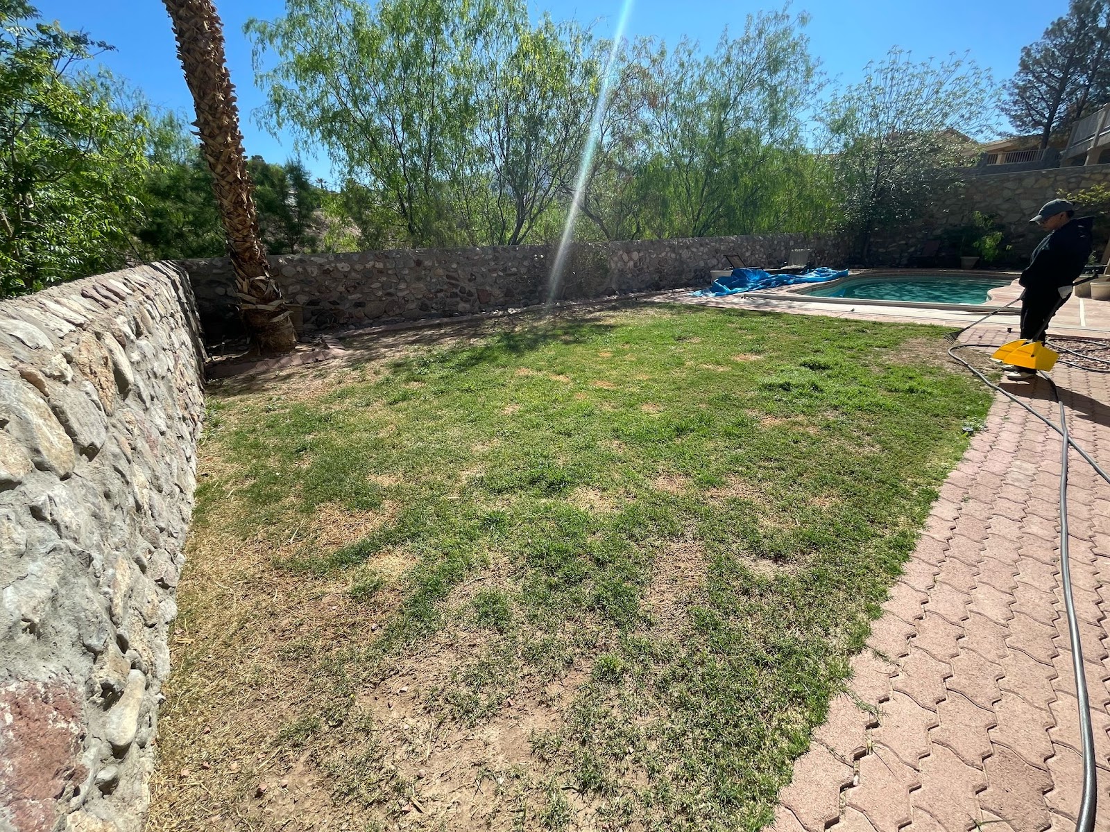 Alpha Dog 915 - Pooper Scoopers - Photo 3