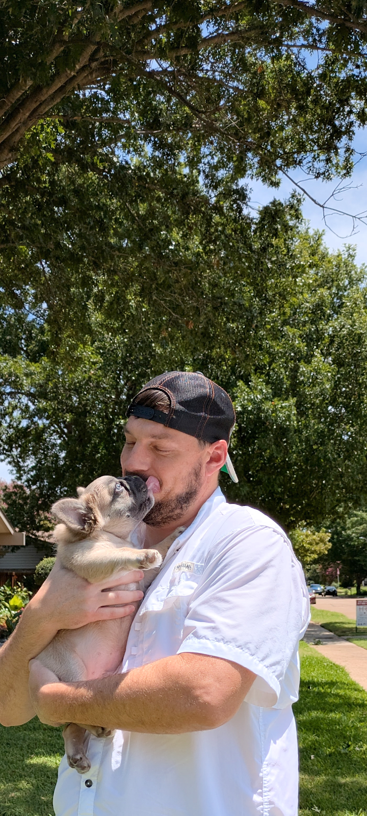 Scoop We Doo - Photo 3