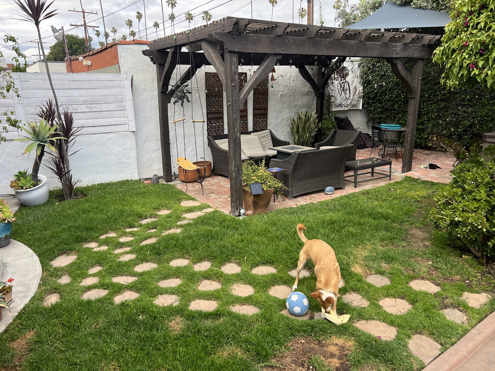 Doggy Dooty Pet Waste LLC - Photo 2