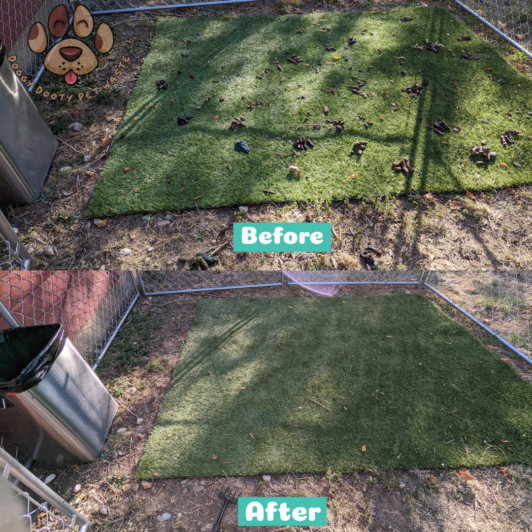 Doggy Dooty Pet Waste LLC - Photo 4