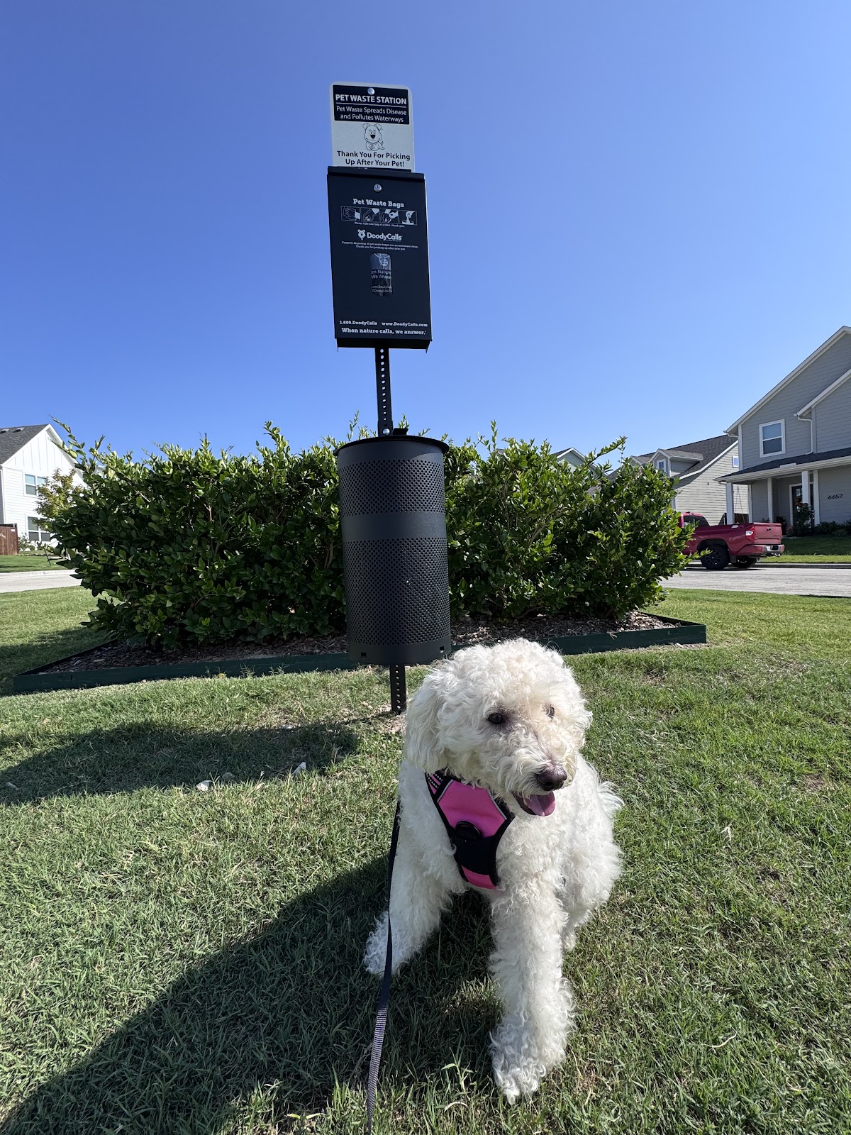 DoodyCalls® of Dallas-Fort Worth