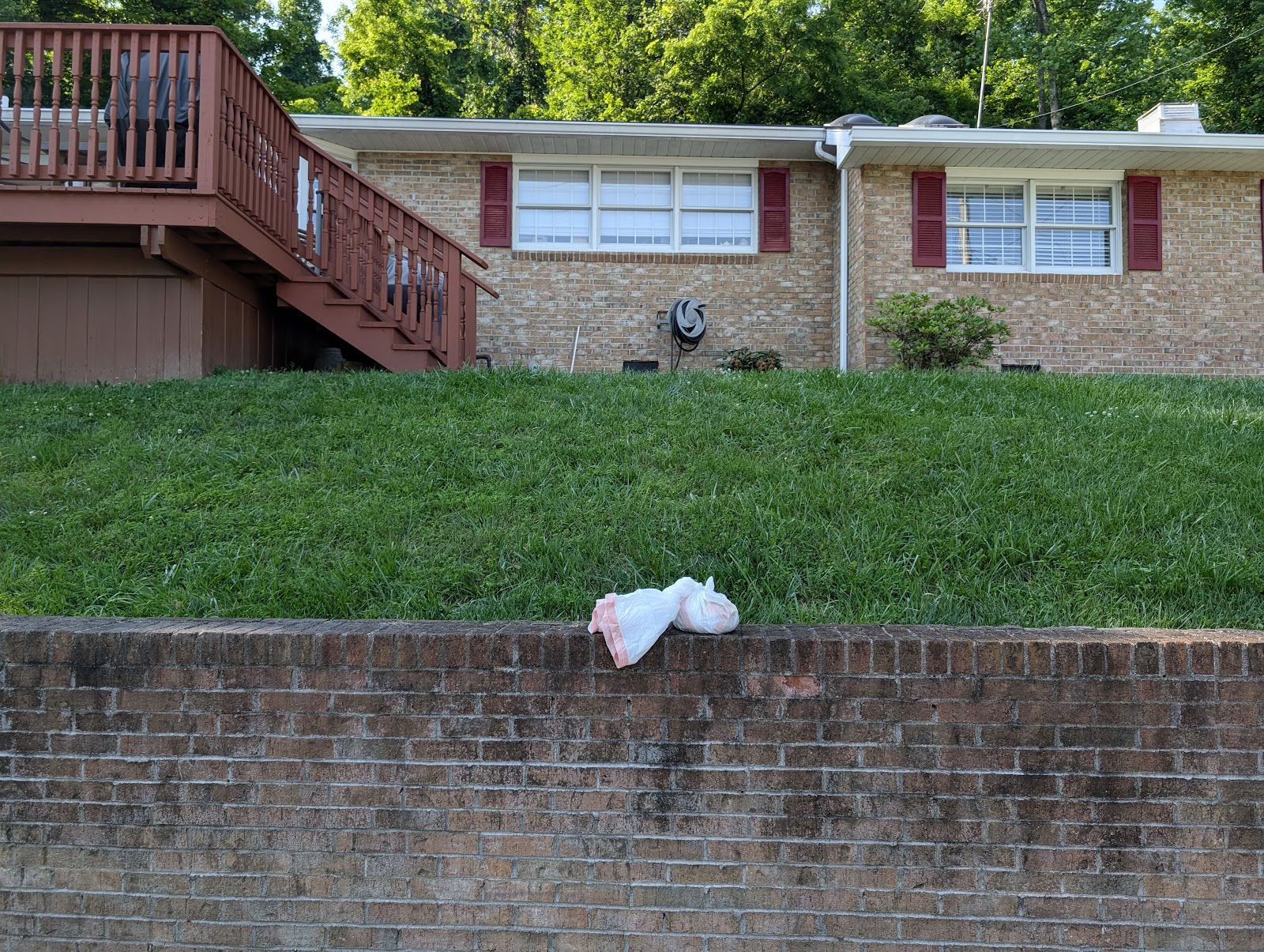 Mountaineer Poo Patrol