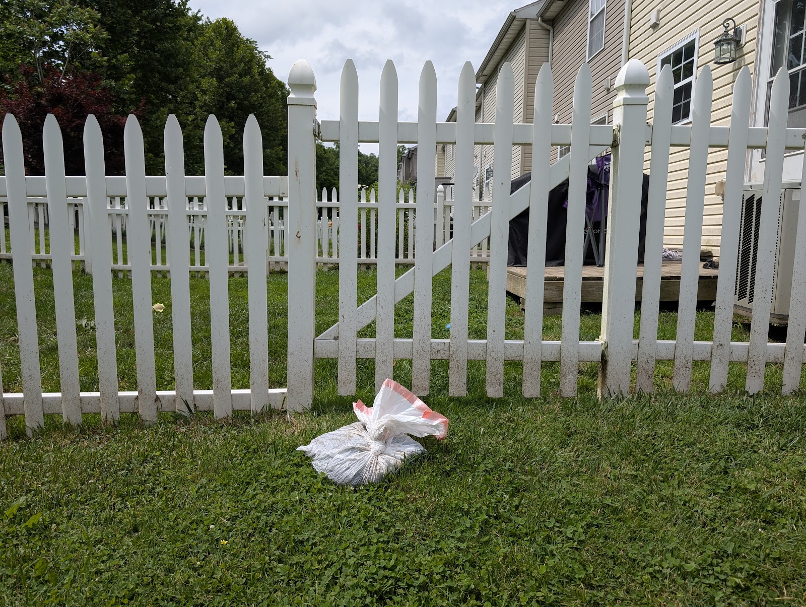 Mountaineer Poo Patrol - Photo 3