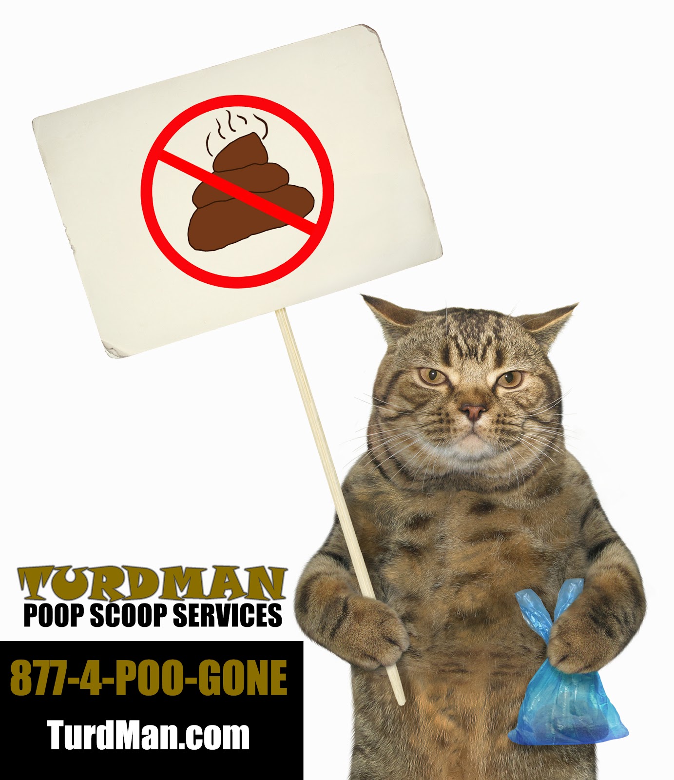 TurdMan Poop Scoop Services