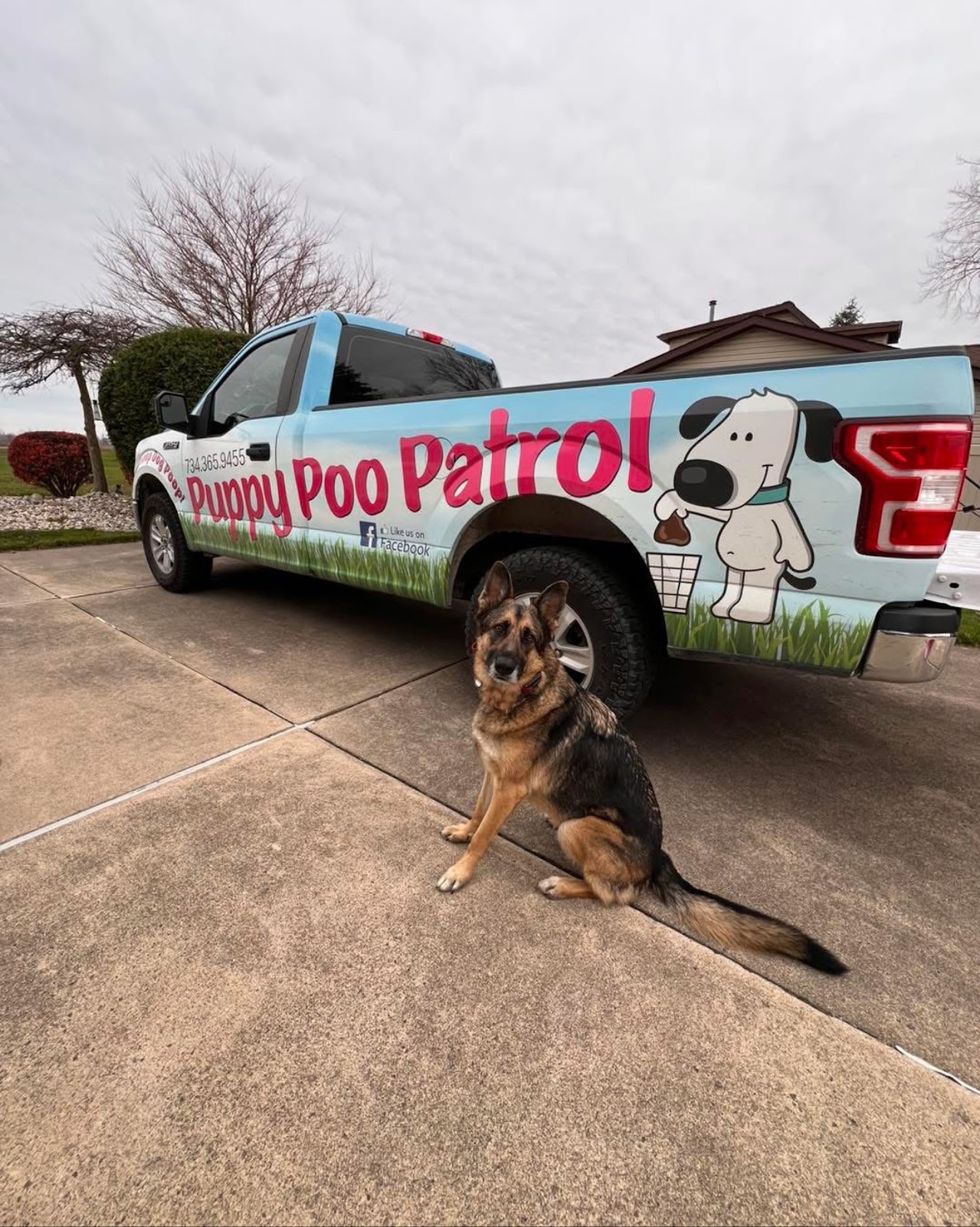 Puppy Poo Patrol, LLC - Photo 2