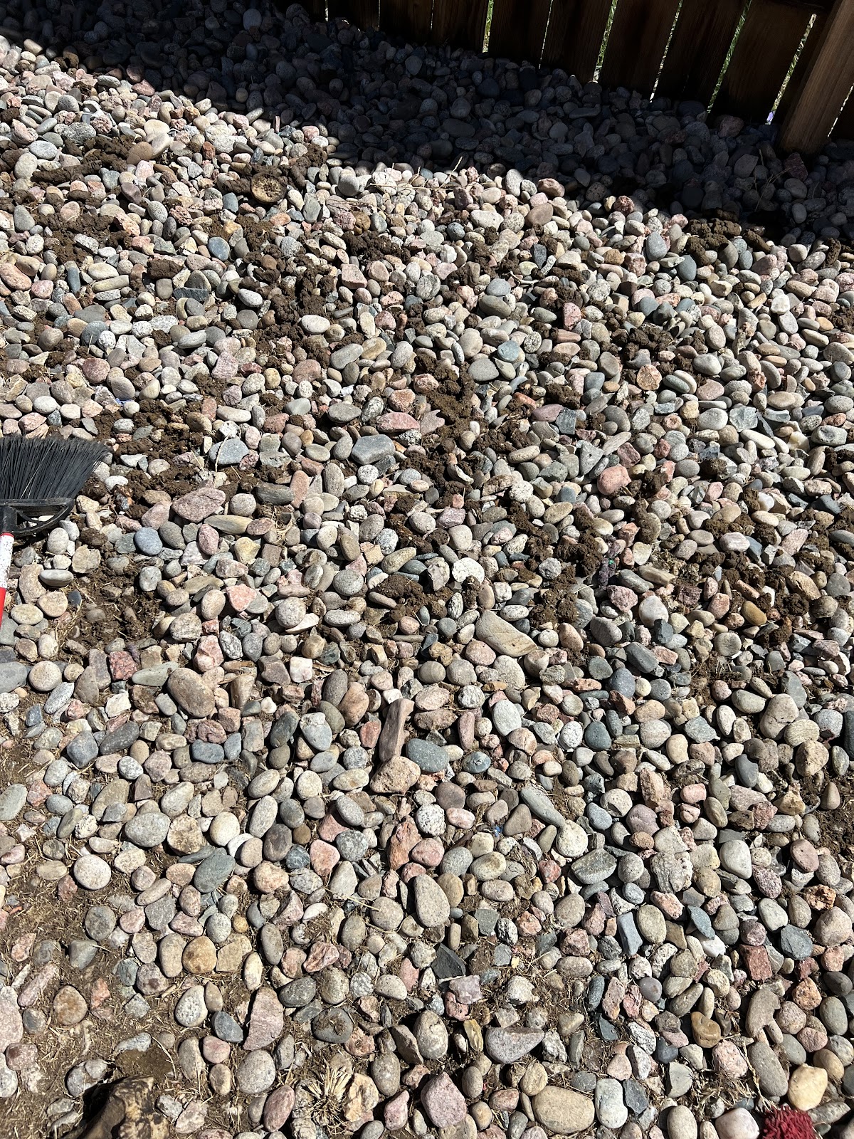 Springs Waste Pet Systems - Photo 2