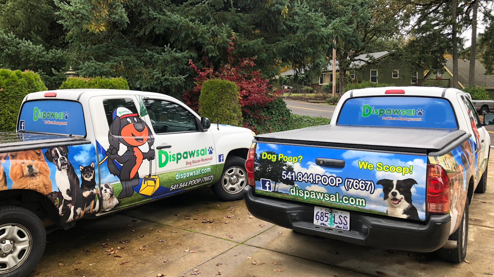 Dispawsal Pooper Scooper Service