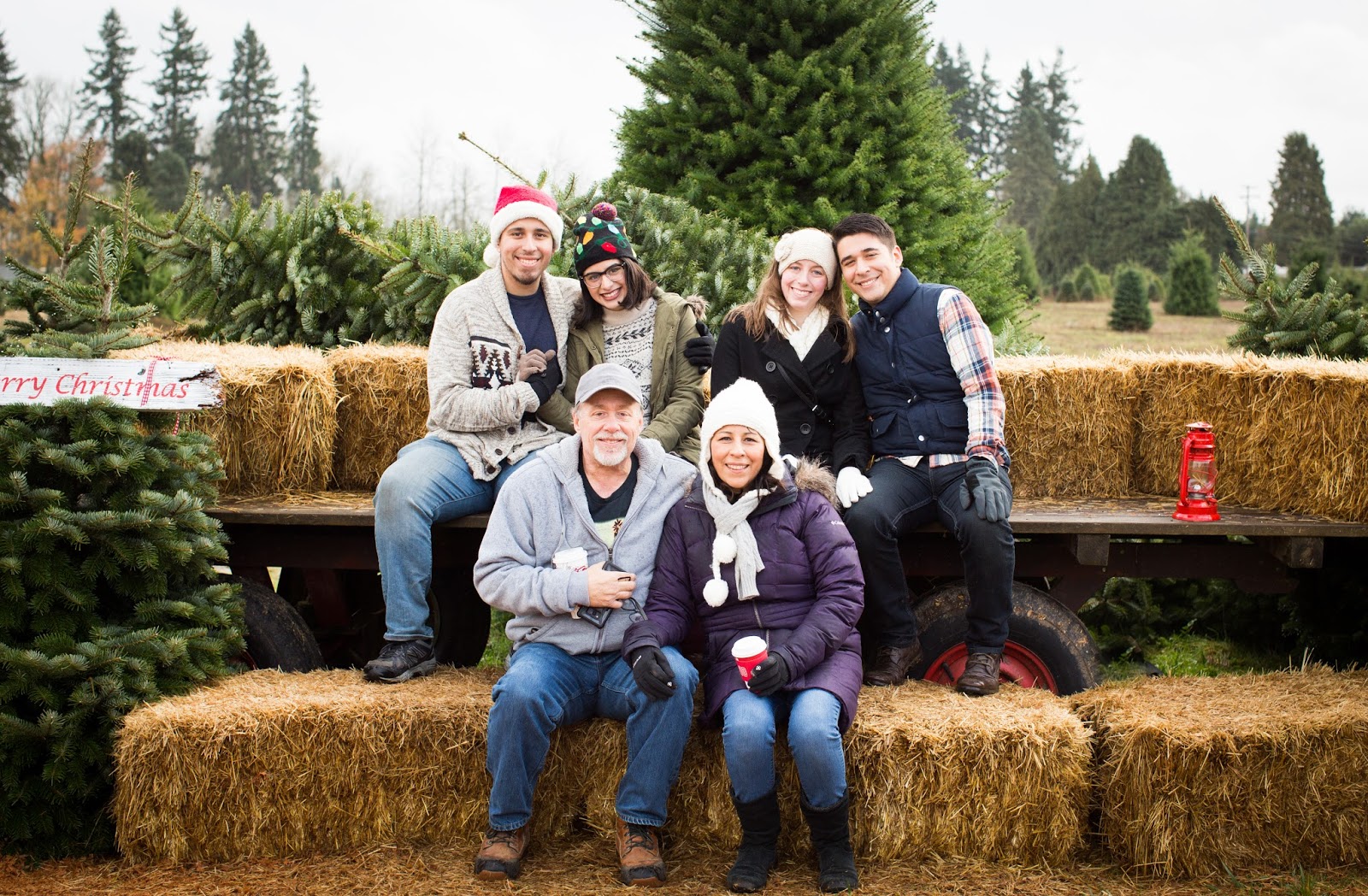 Dispawsal Pooper Scooper Service - Photo 3