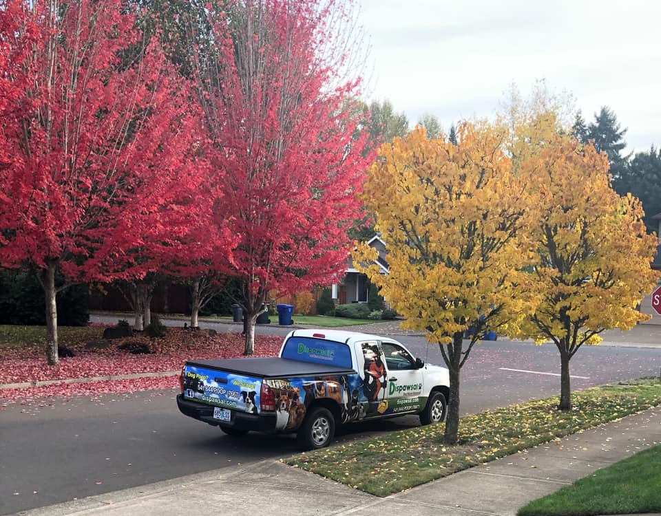 Dispawsal Pooper Scooper Service - Photo 4