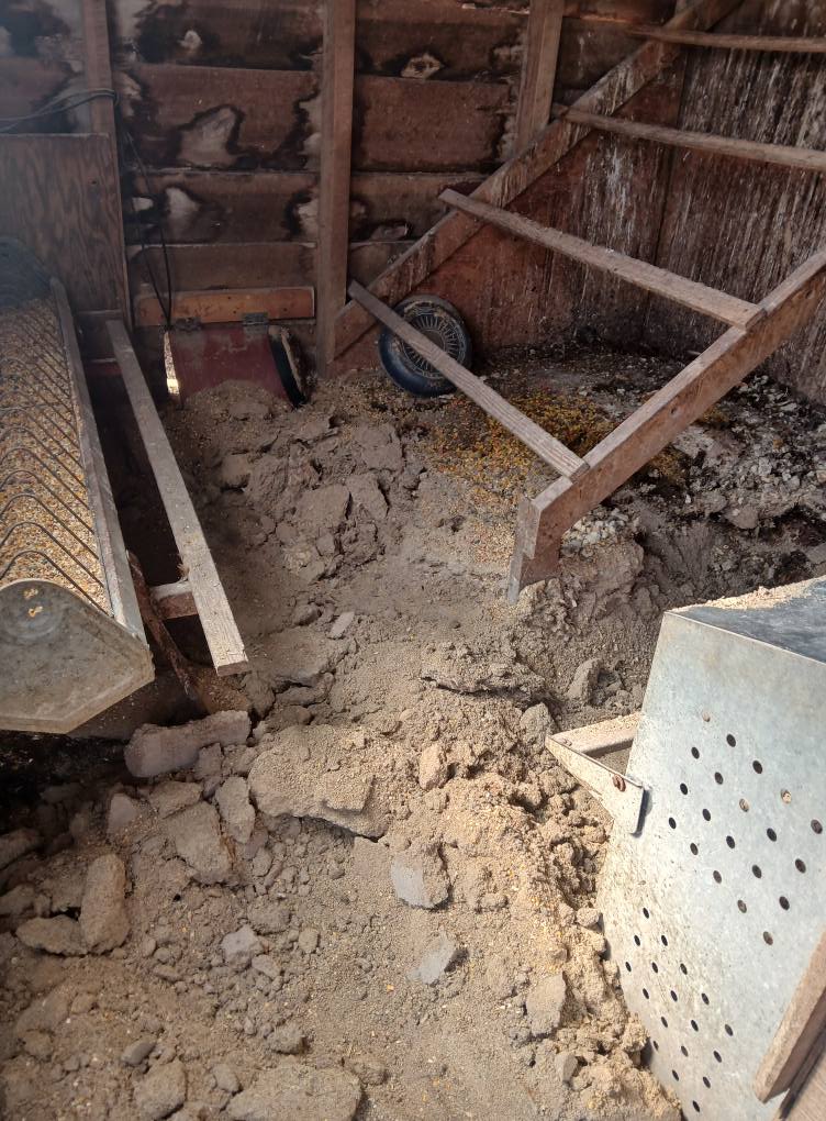 Penny's Poo Pawtrol - Photo 2