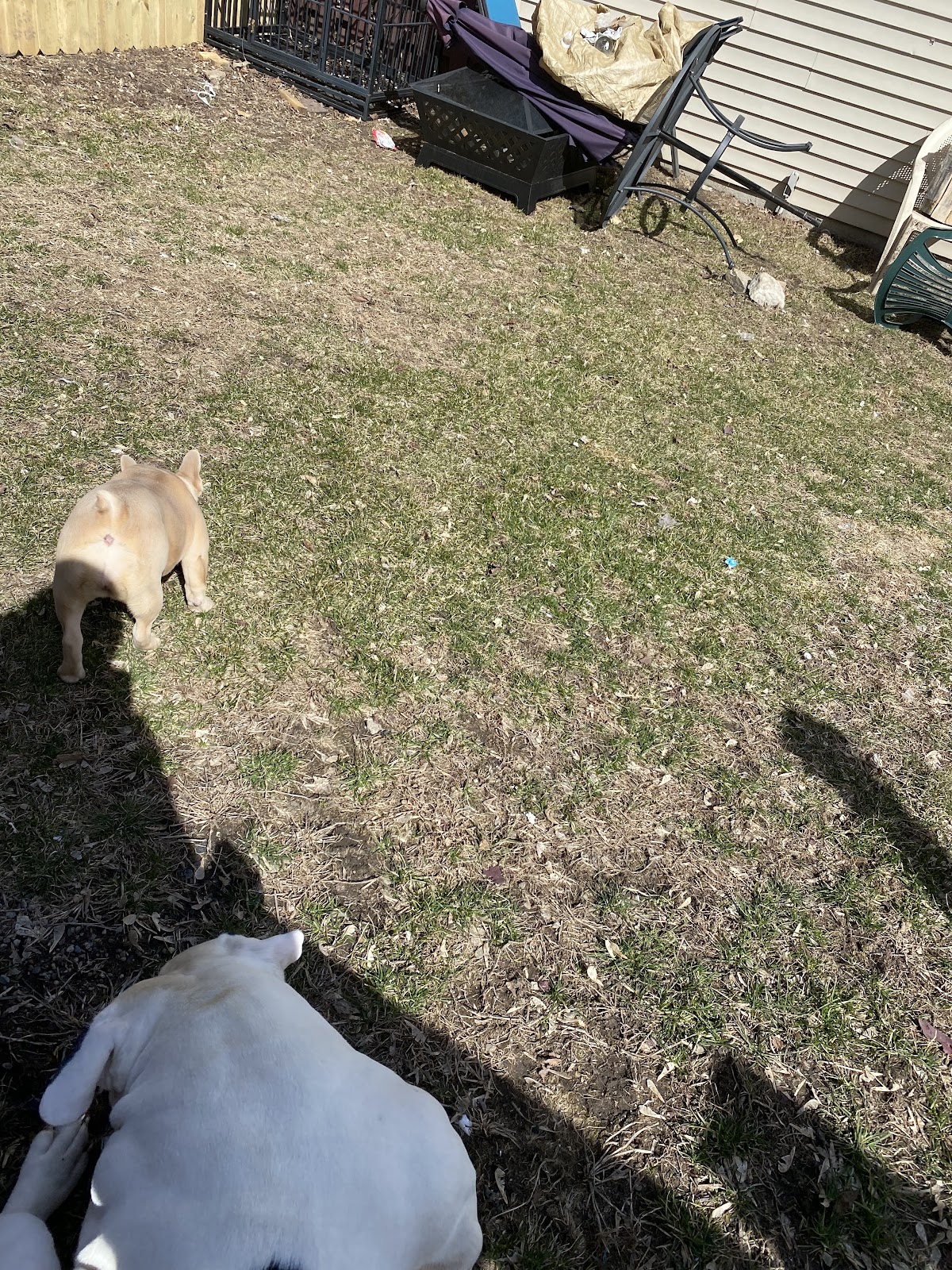 POOP 911 Minneapolis/St. Paul - Photo 4