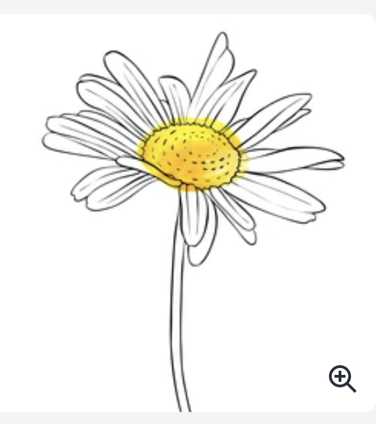 Daisy's Dog Waste Disposal