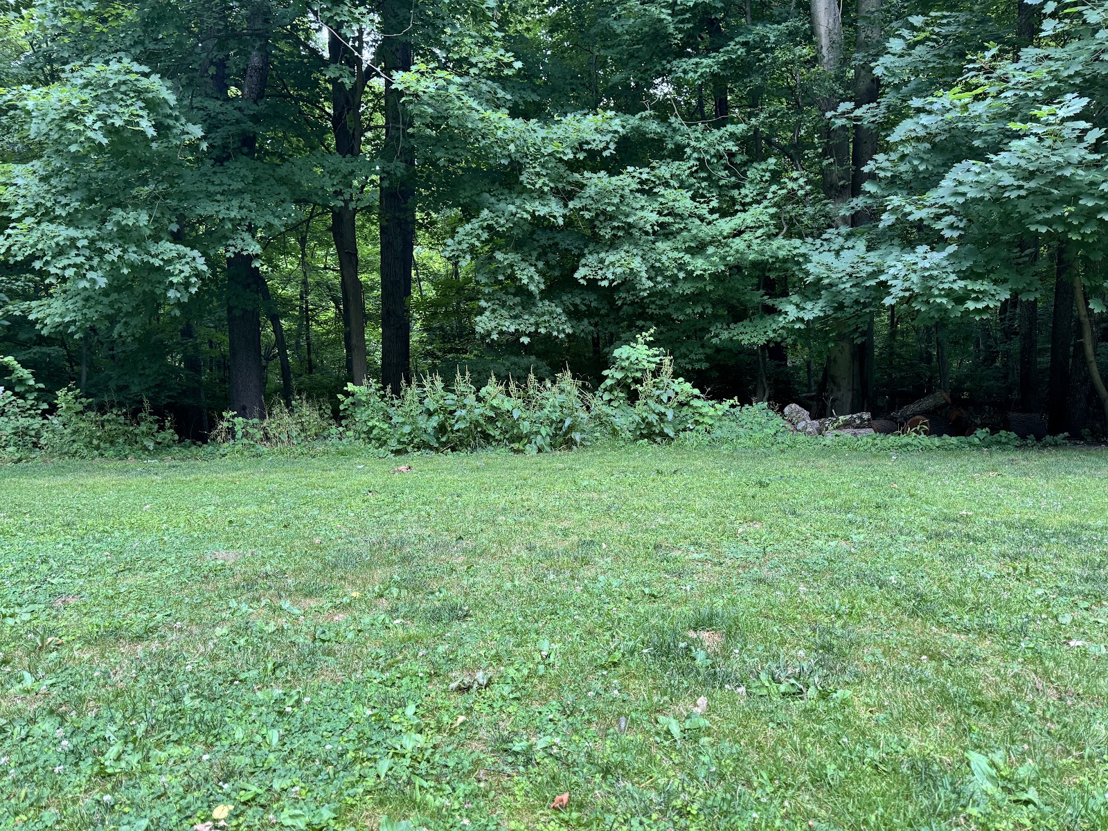 Poop Express - Pet Waste Removal