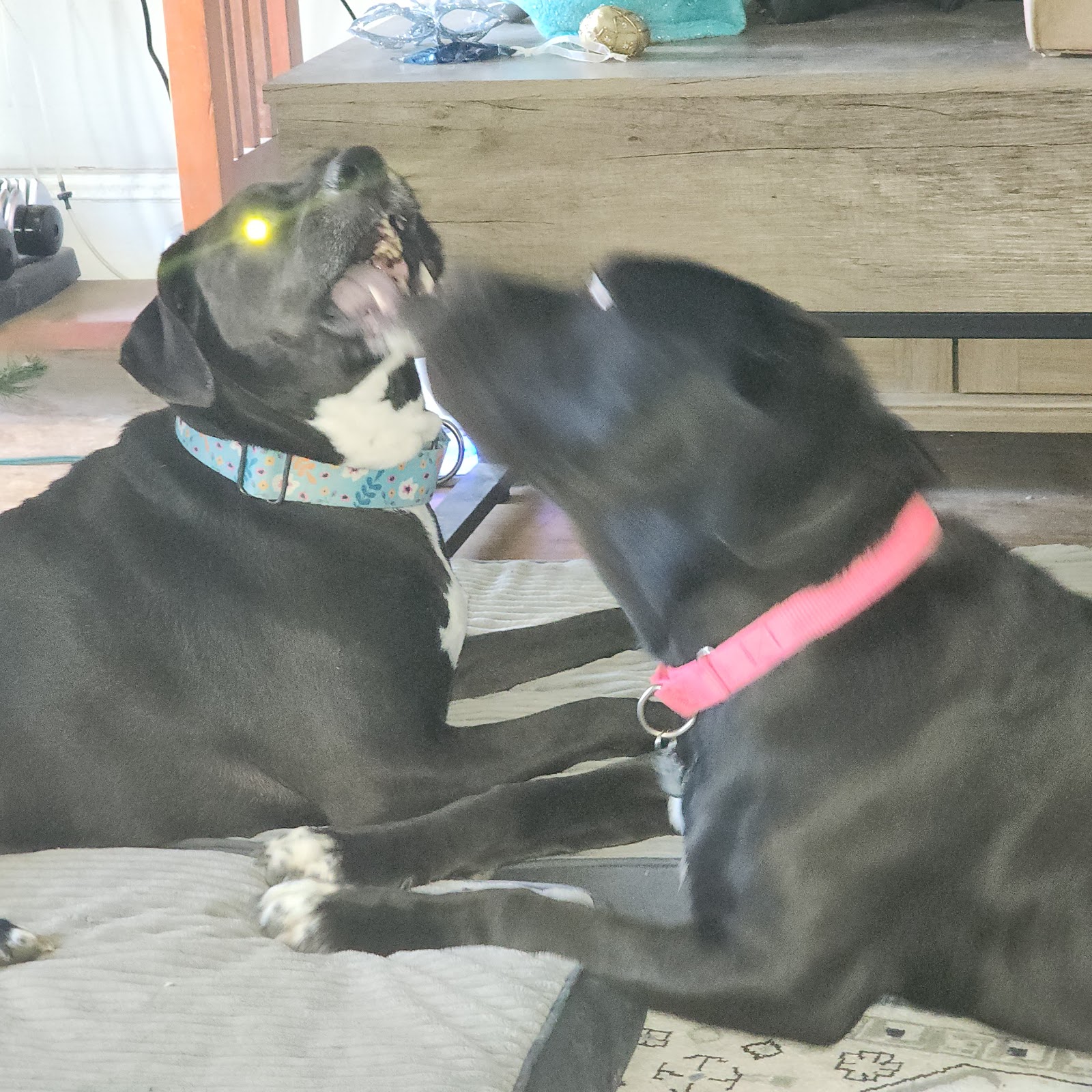 Scoop The Poconos - Photo 4