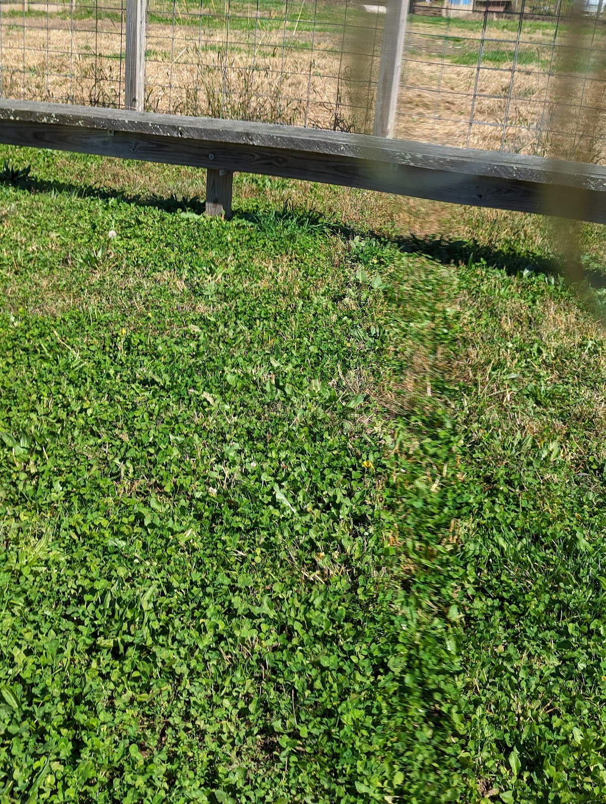 The Poop Guardians - Photo 2