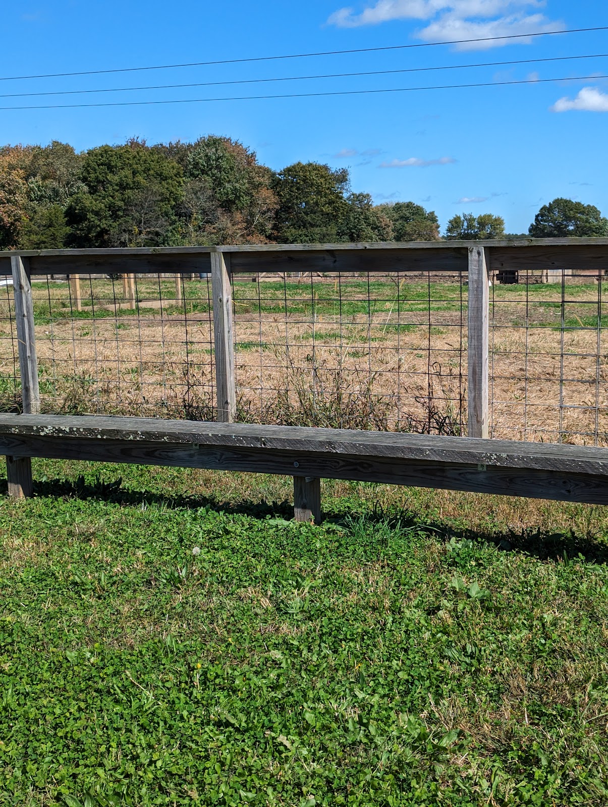 The Poop Guardians - Photo 3