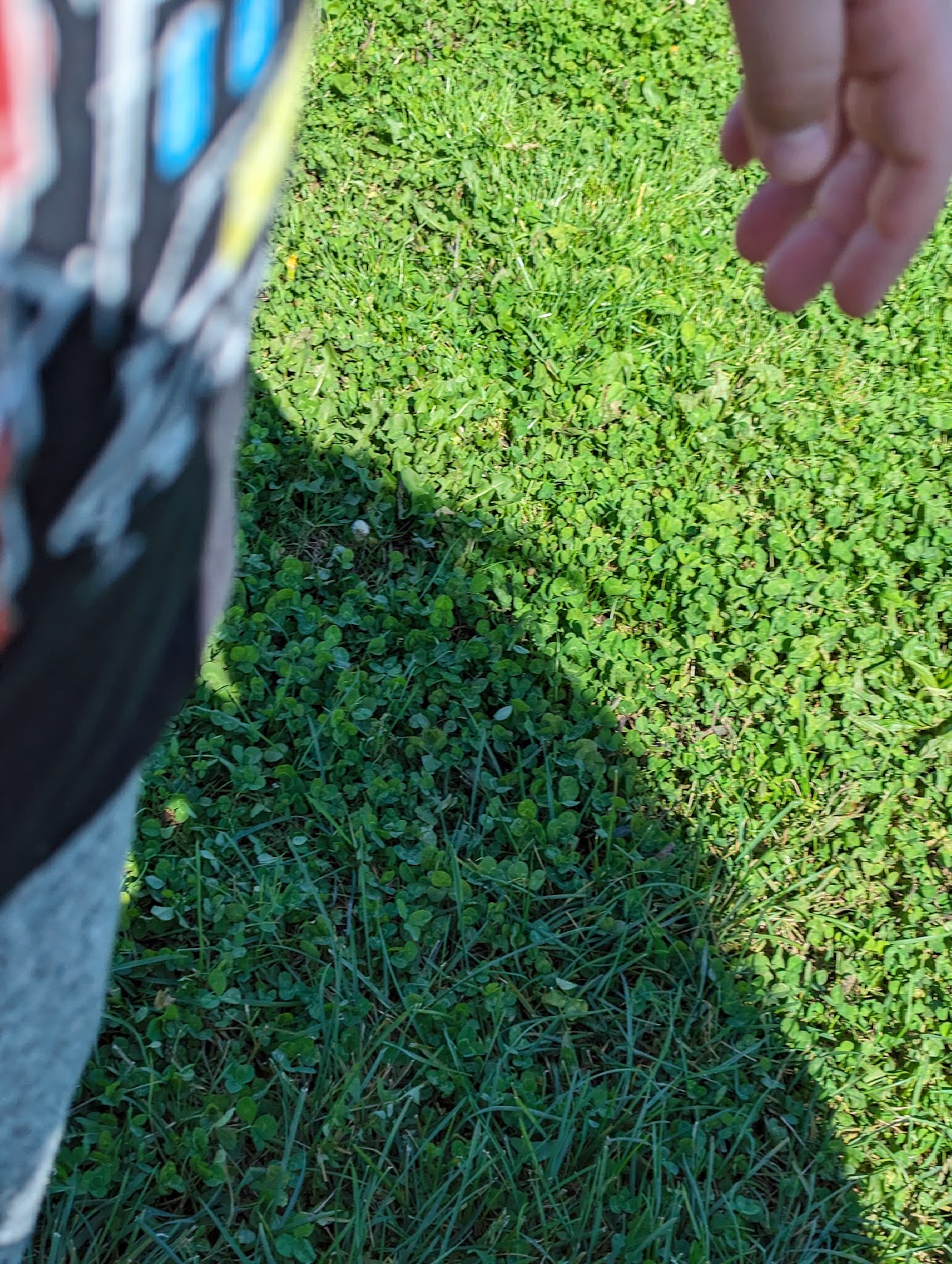 The Poop Guardians - Photo 4