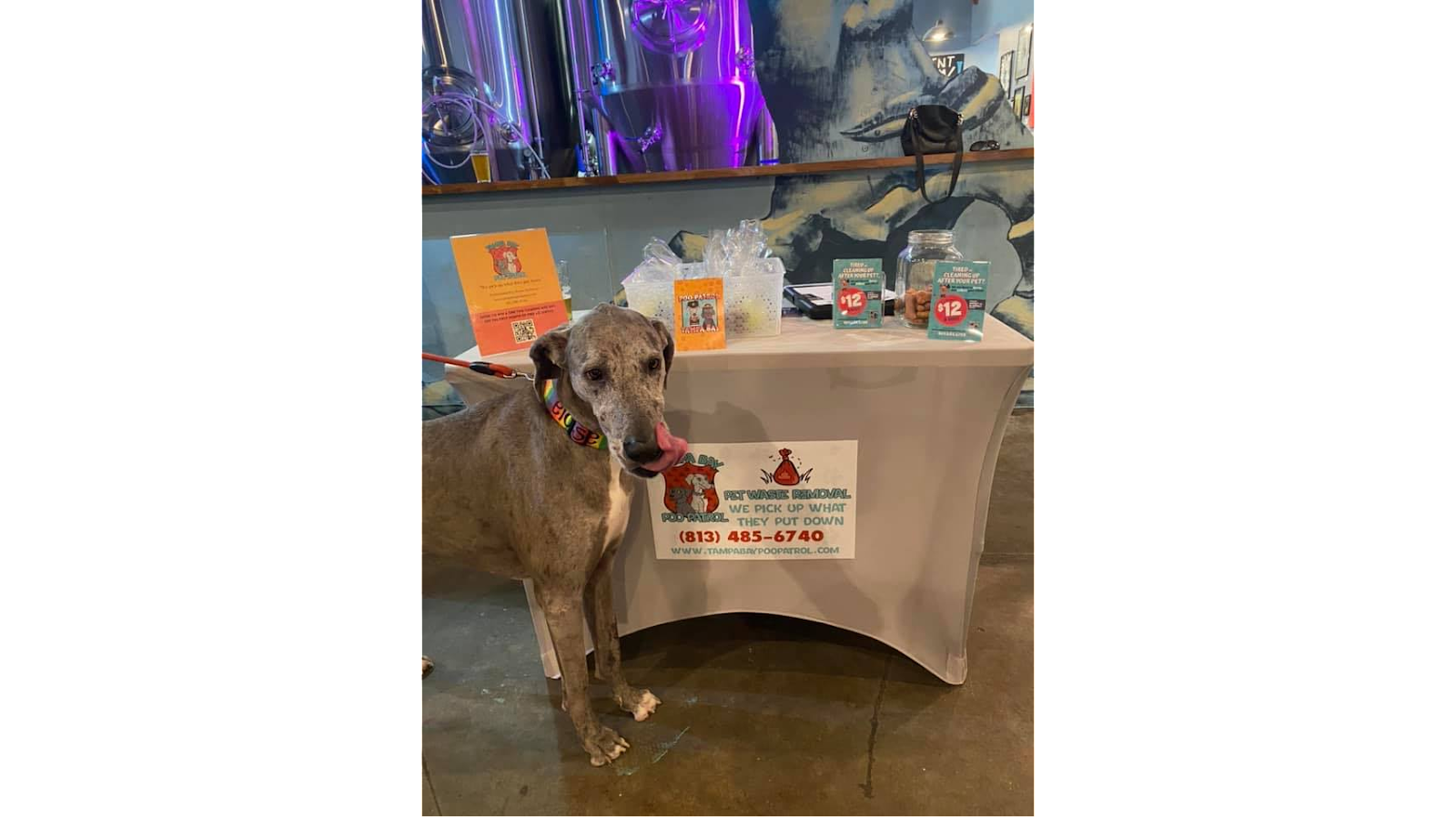 Tampa Bay Poo Patrol