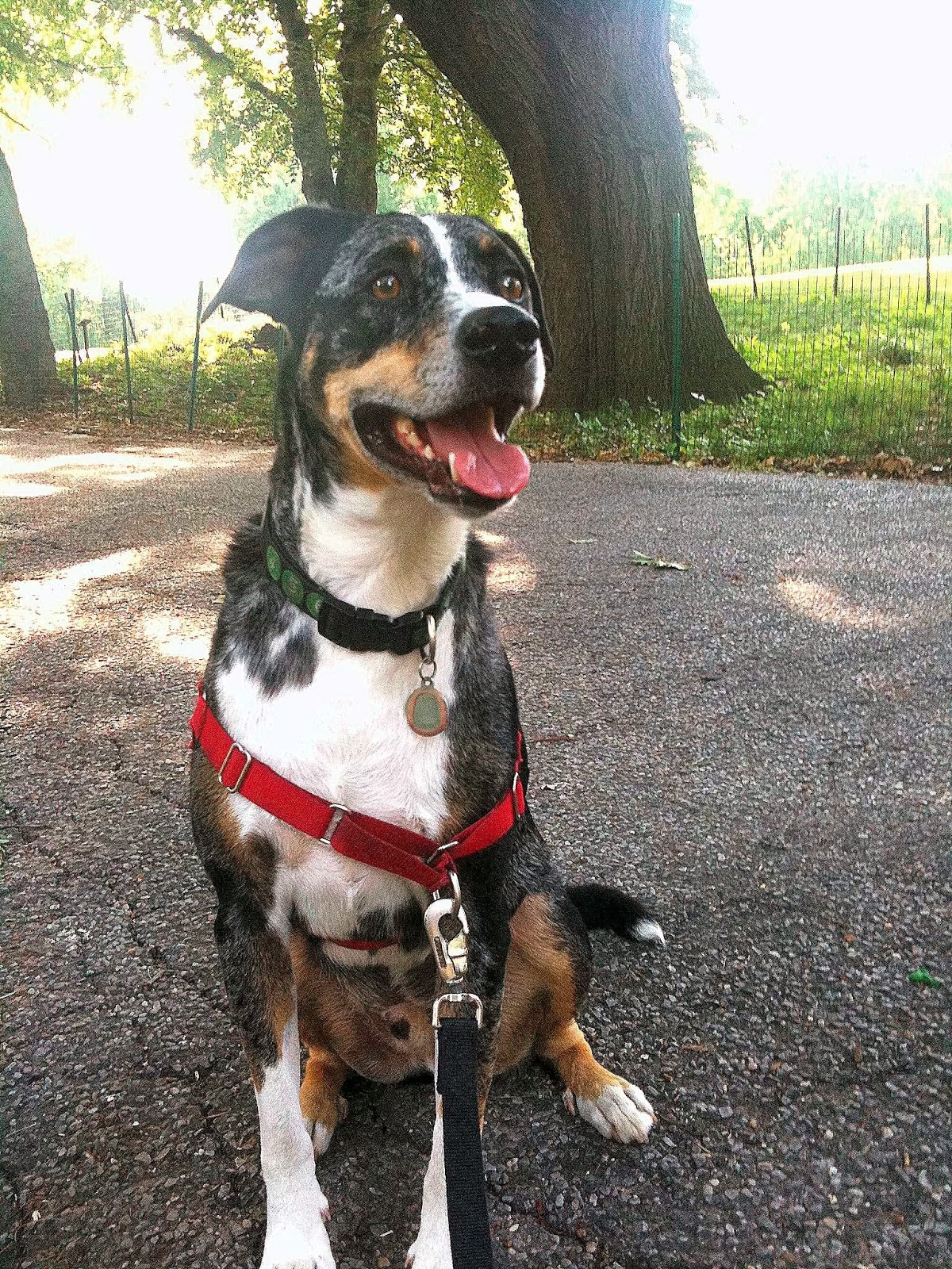 Brooklyn Bark - Photo 2